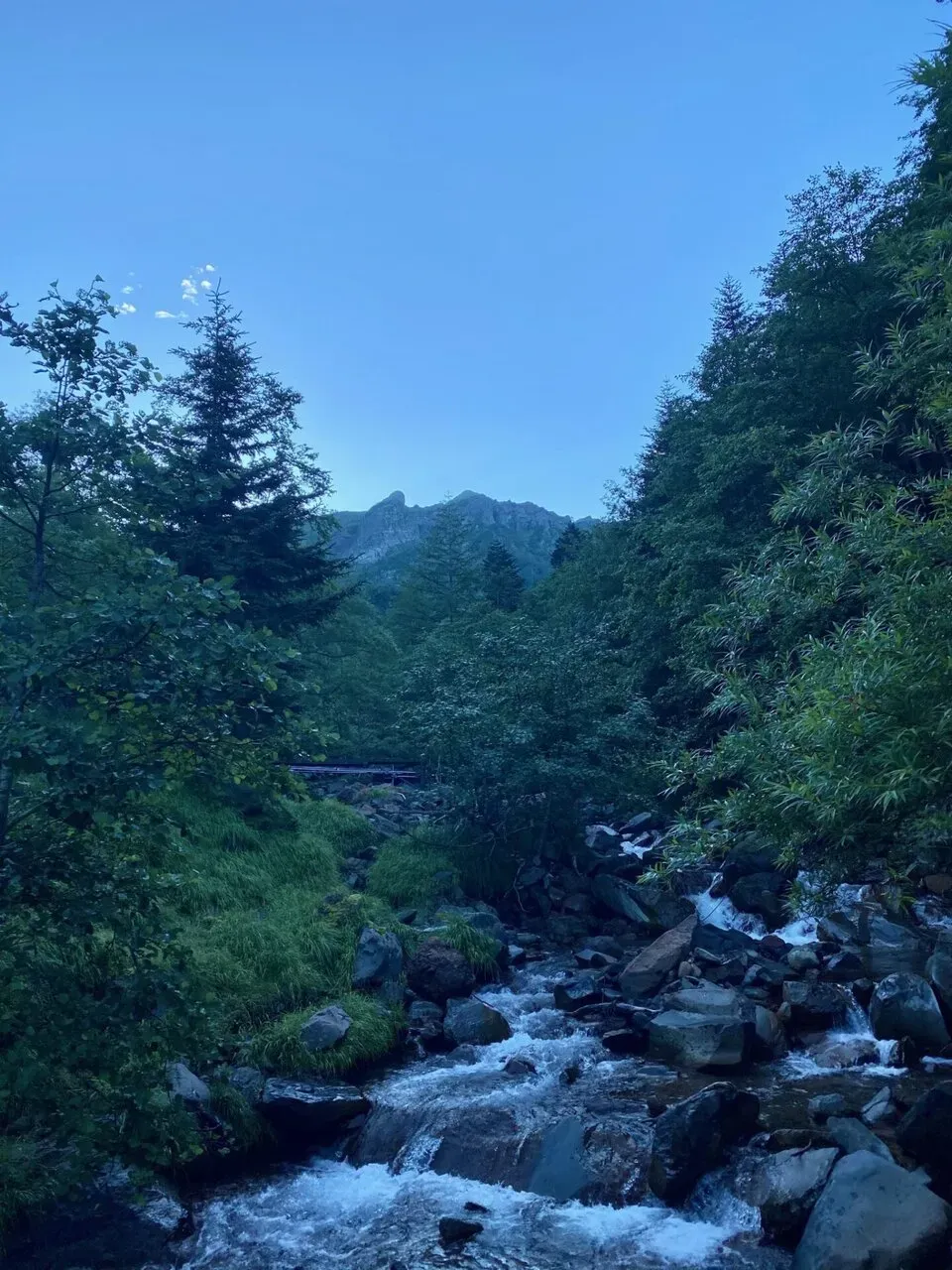 あの山に登ります。