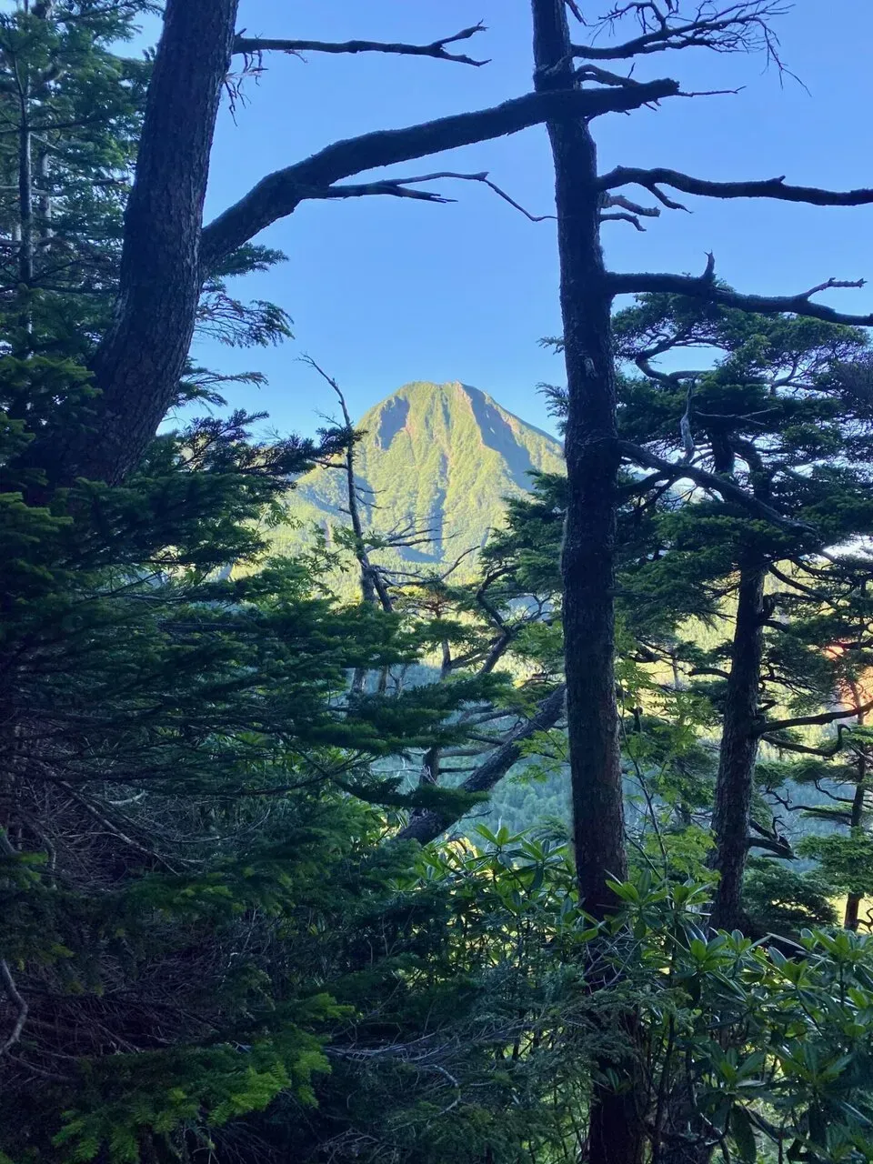 え！？あの傾斜のきつそうな山にも行くの？？