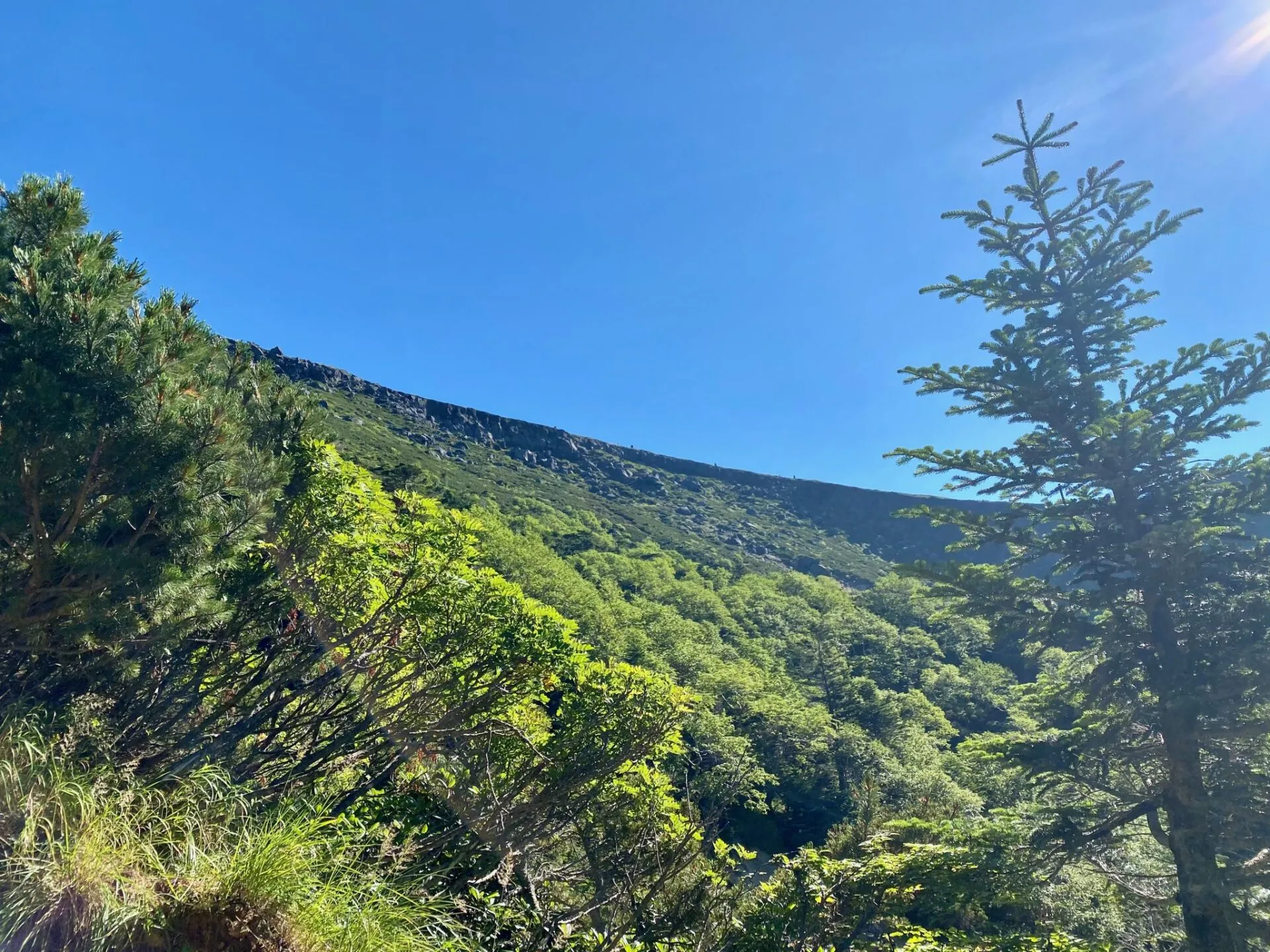 八ヶ岳の南の方(硫黄岳、天狗岳、赤岳、横岳)をトレラン - 画像14