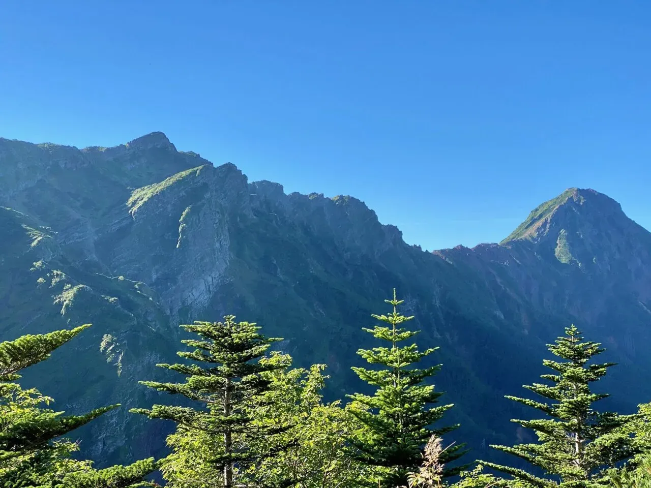 この時点では、ぜんぶ稜線だと思っております。