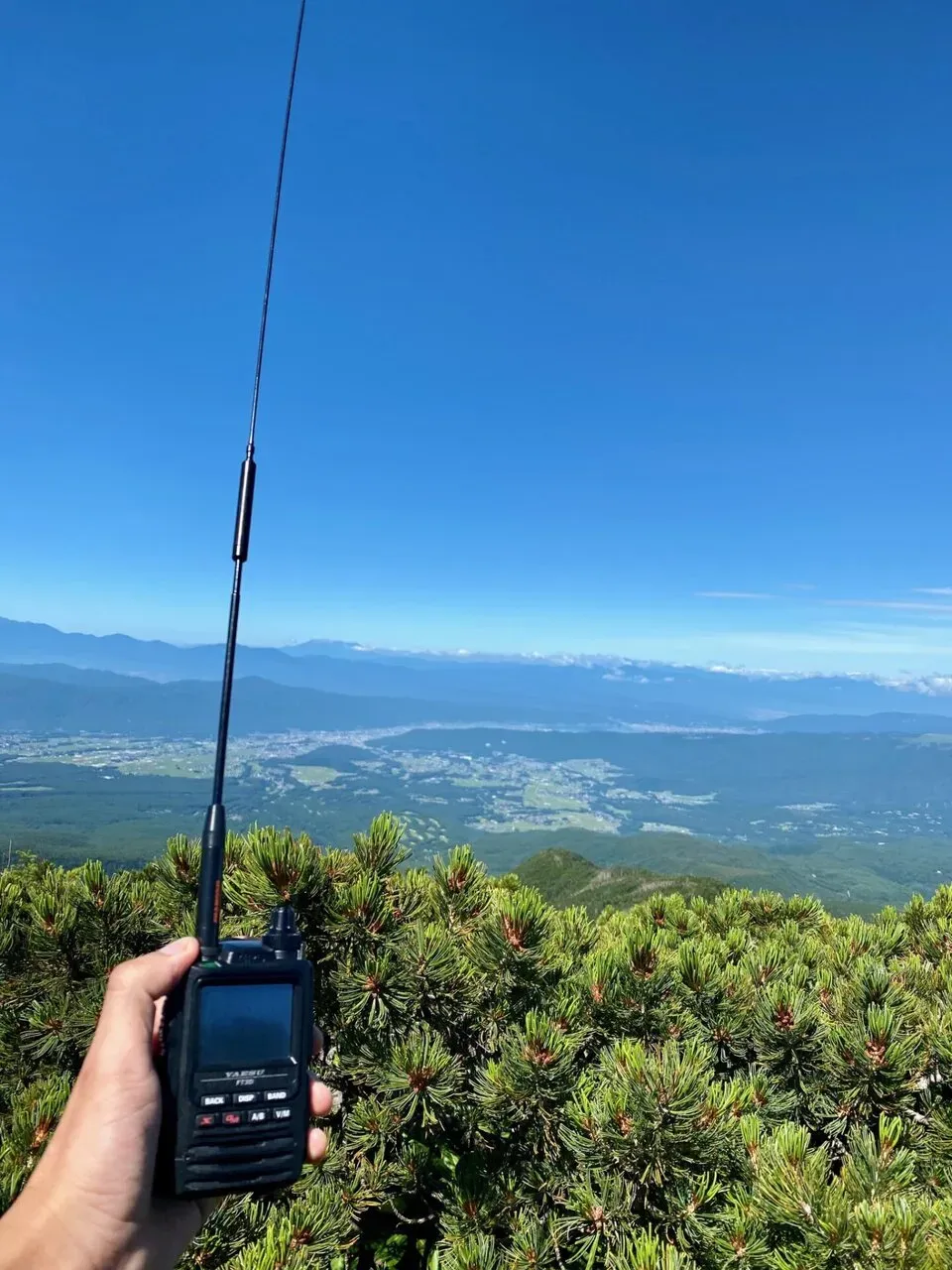 SOTAアクティベーション