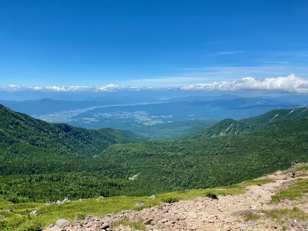 お天気良いけど