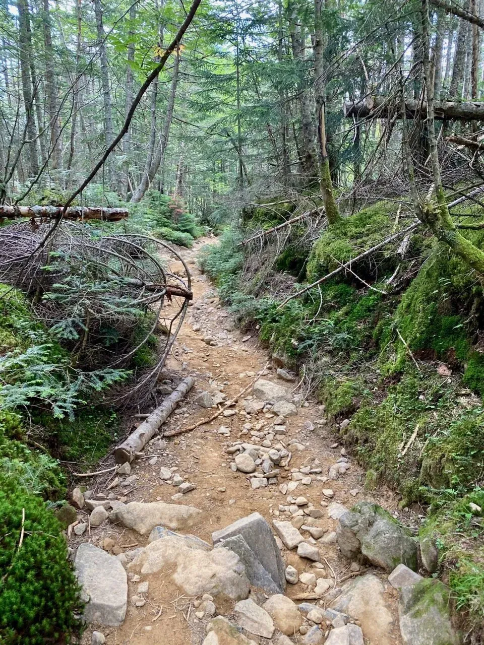 ここからが地獄。枯れた沢下り。5kmぐらいこんな感じ。辛い。人が居ない。。。。南沢と呼ばれるルート。