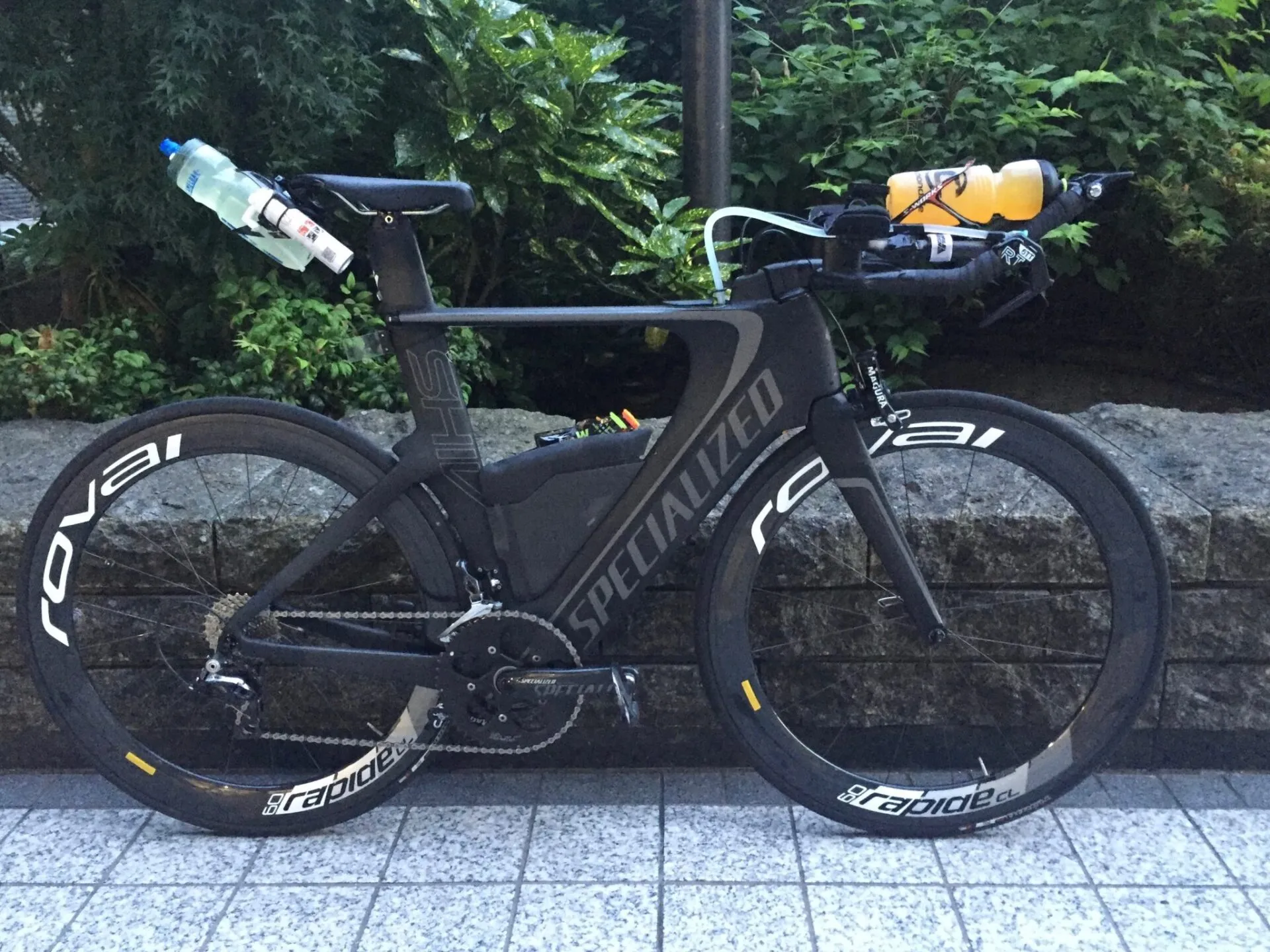 Cover Image of the Post