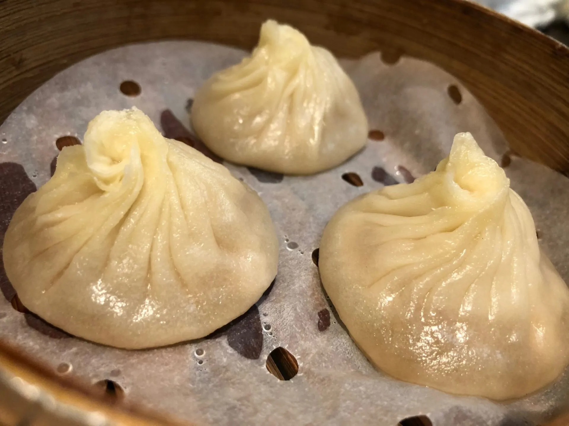 横浜トライアスロン 2:14:57 総合57位 (エイジ10位) - 画像20