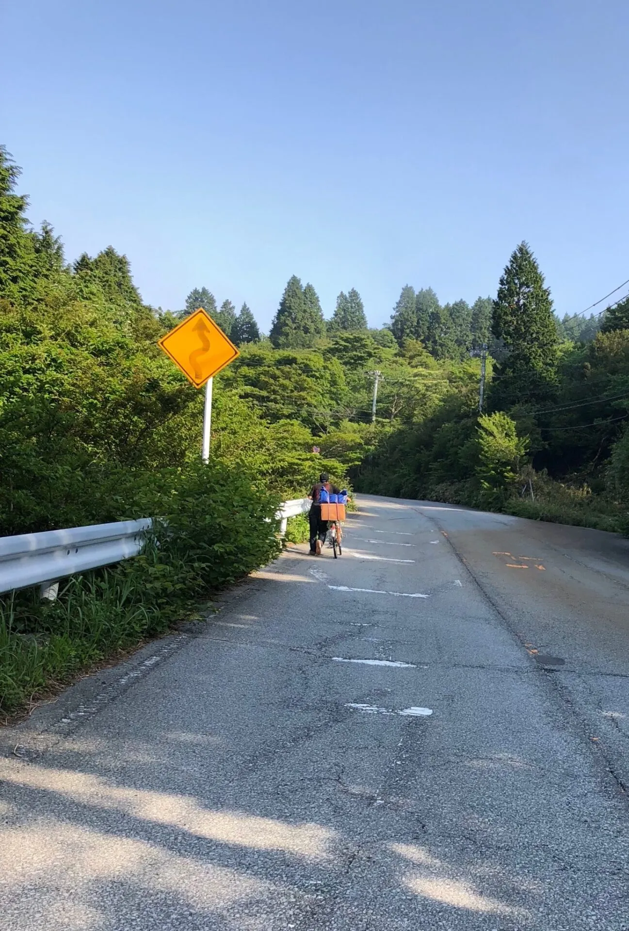 早朝に箱根ヒルクライム - 画像9