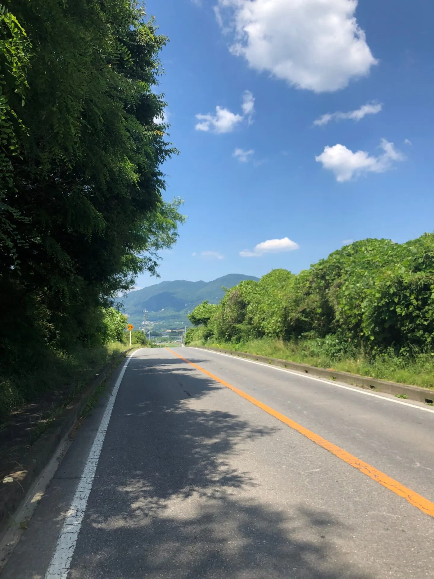 筑波山トレーニング 1800m up - 画像8