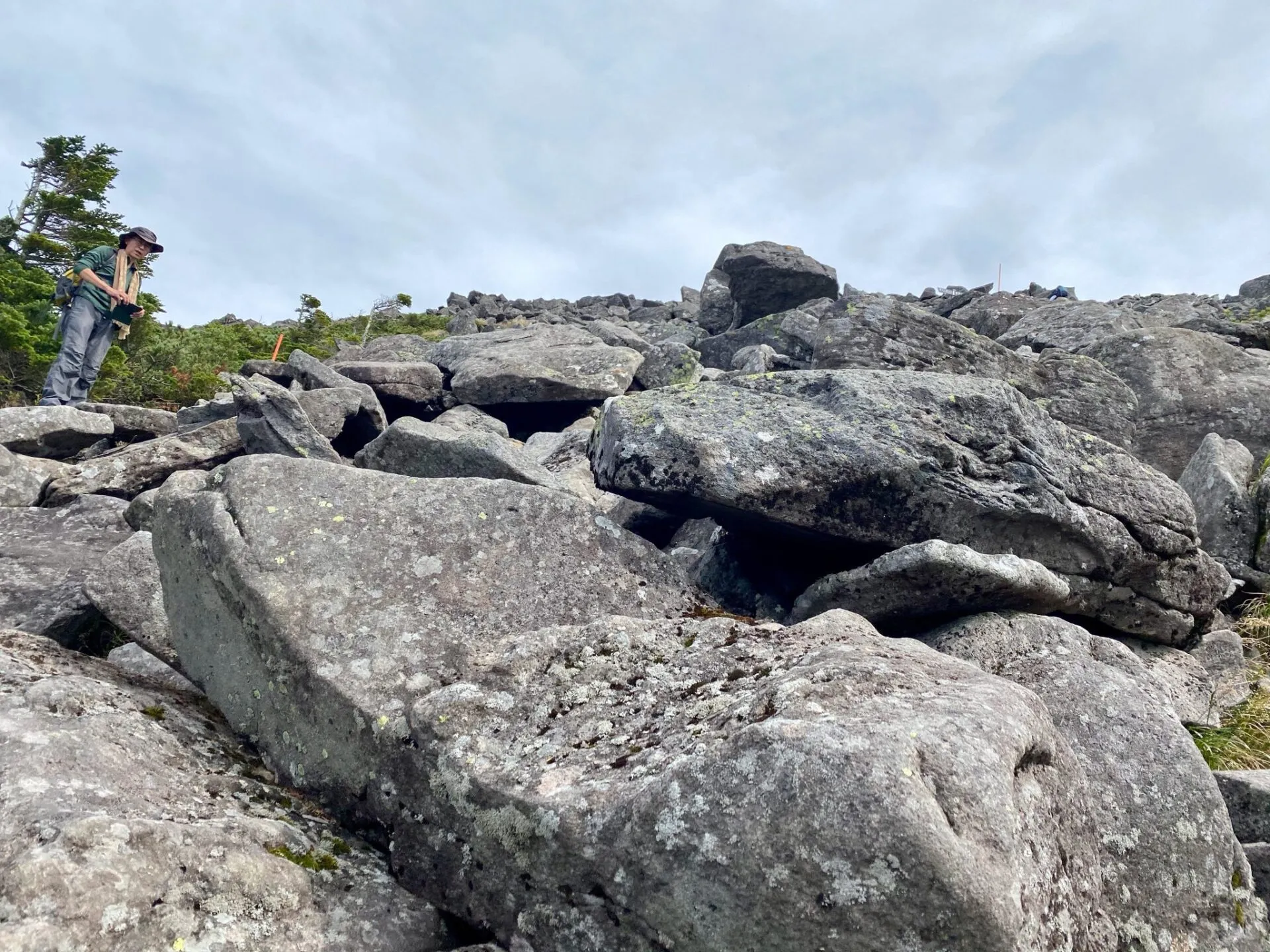 八ヶ岳の北の方(蓼科山、北横岳)をトレラン - 画像10