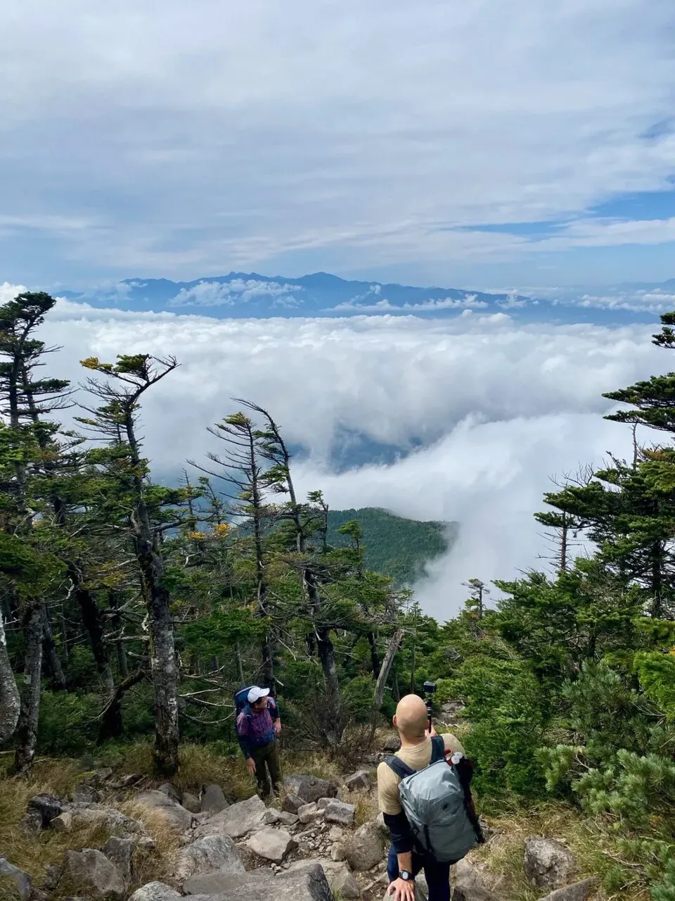 下は曇り。この辺りが森林限界