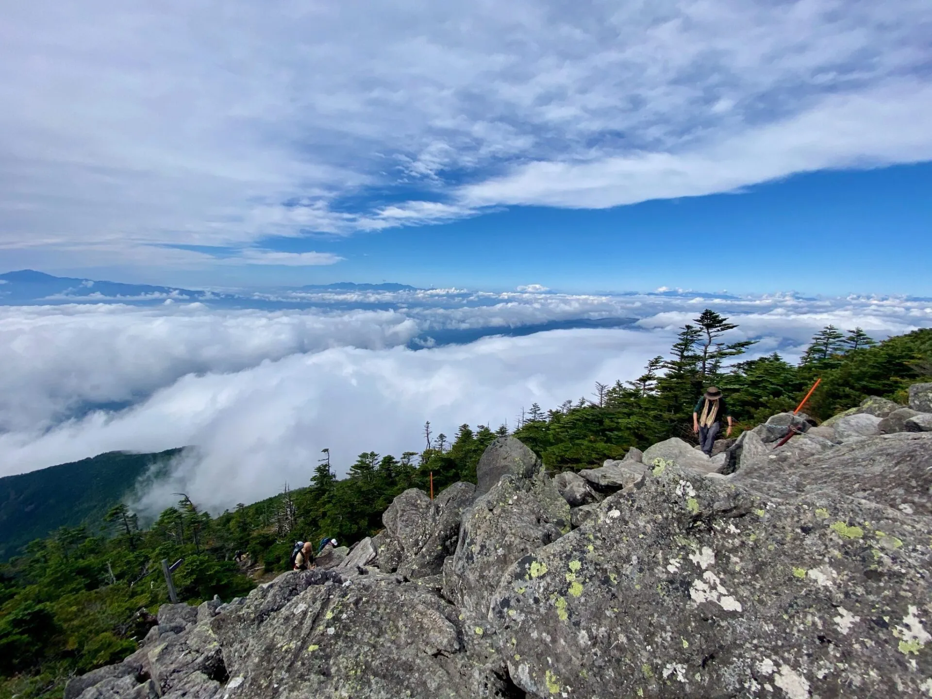 山頂から見下ろす雲海