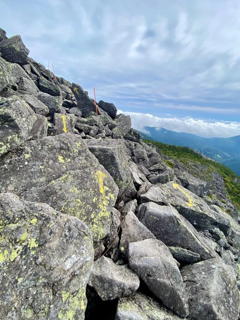 横移動しながら登り。手も使いながらだと早く登れる。