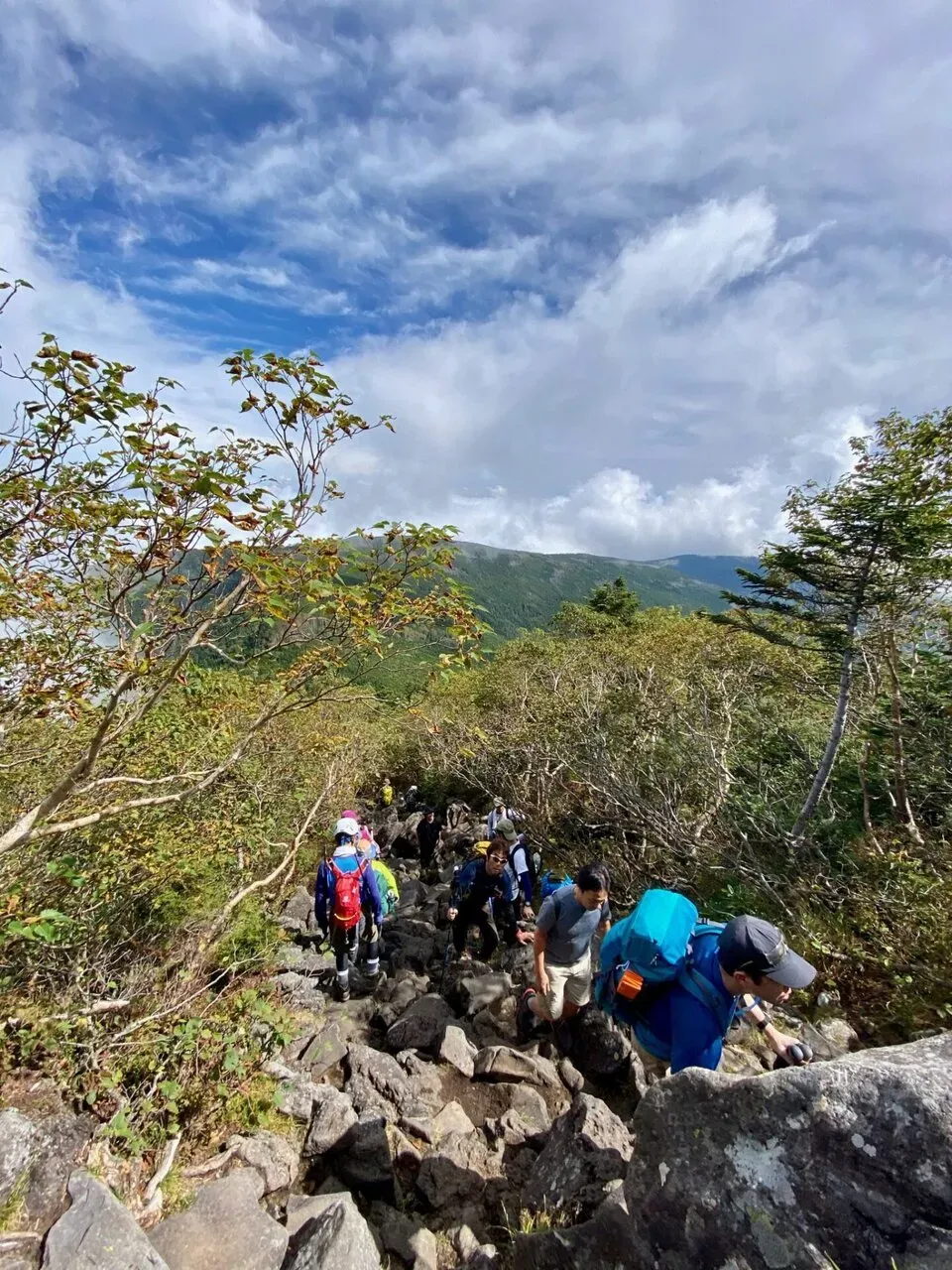 蓼科下り。こっちの道は混みまくり。