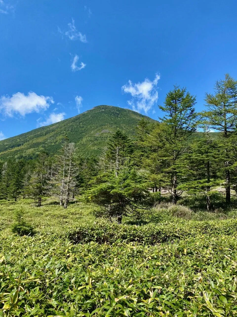 登り返し。