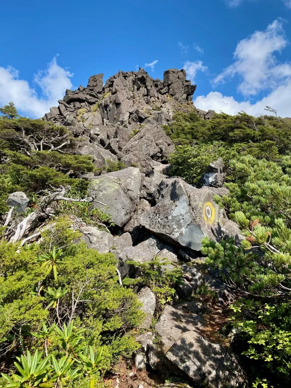 メイン道を外れて三ツ岳へ。岩場オンリー。
