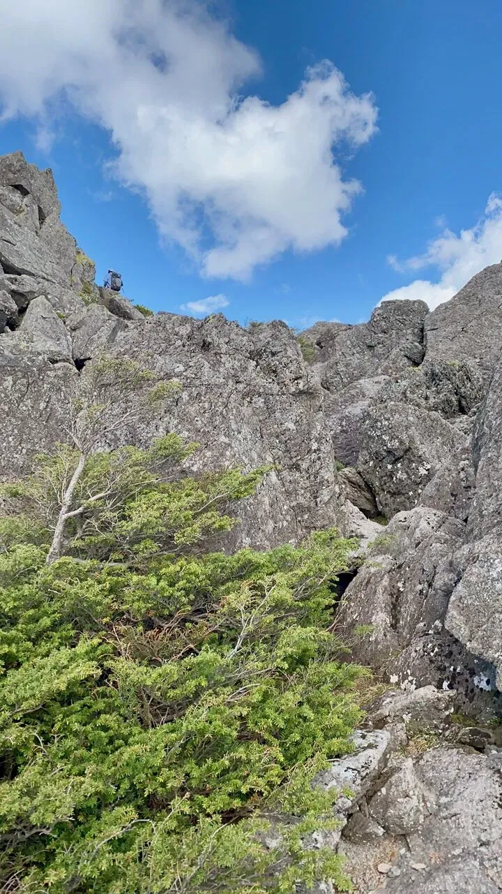 岩登り。前回の八ヶ岳以降、なぜか靴が滑るからこわい。