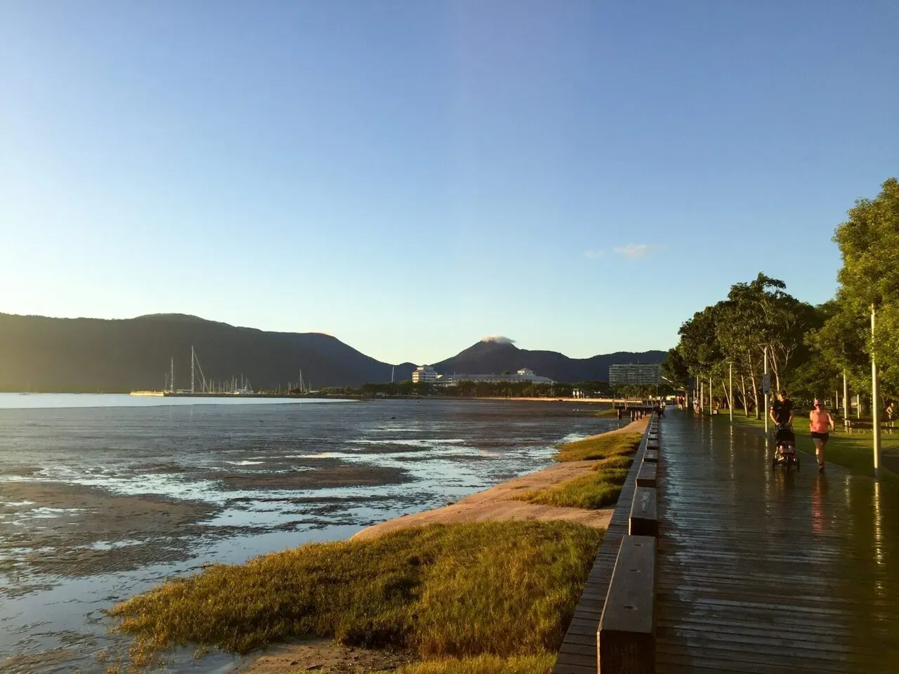雨上がりっぽい。