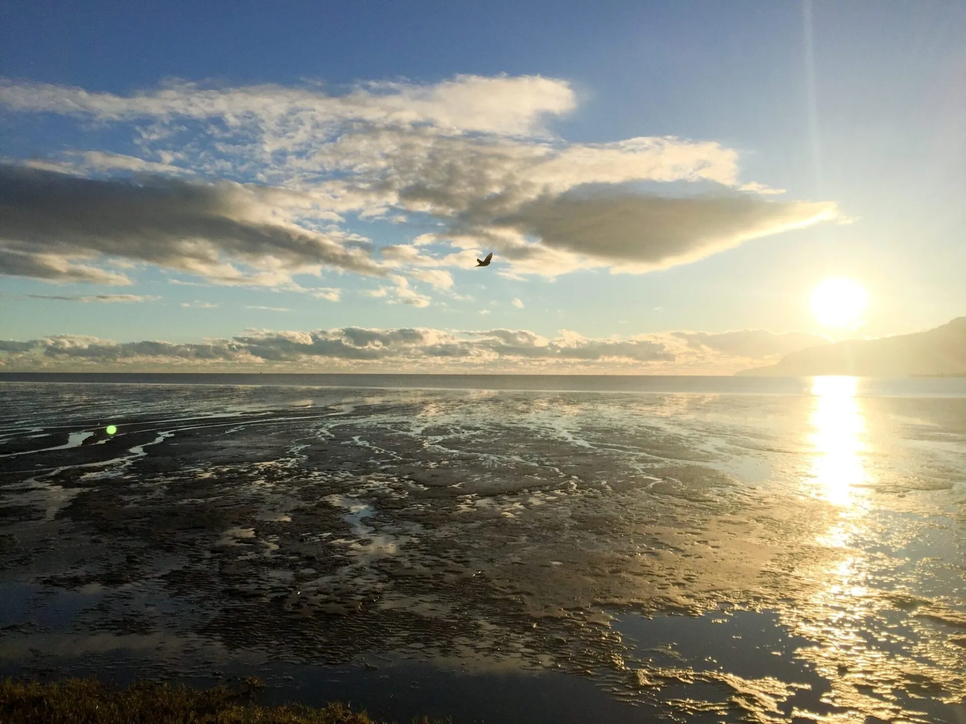 ケアンズ(Cairns)滞在記 1日目 - 画像23