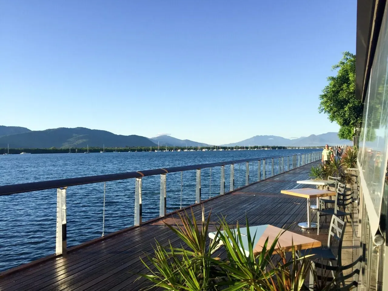 カフェたくさん。