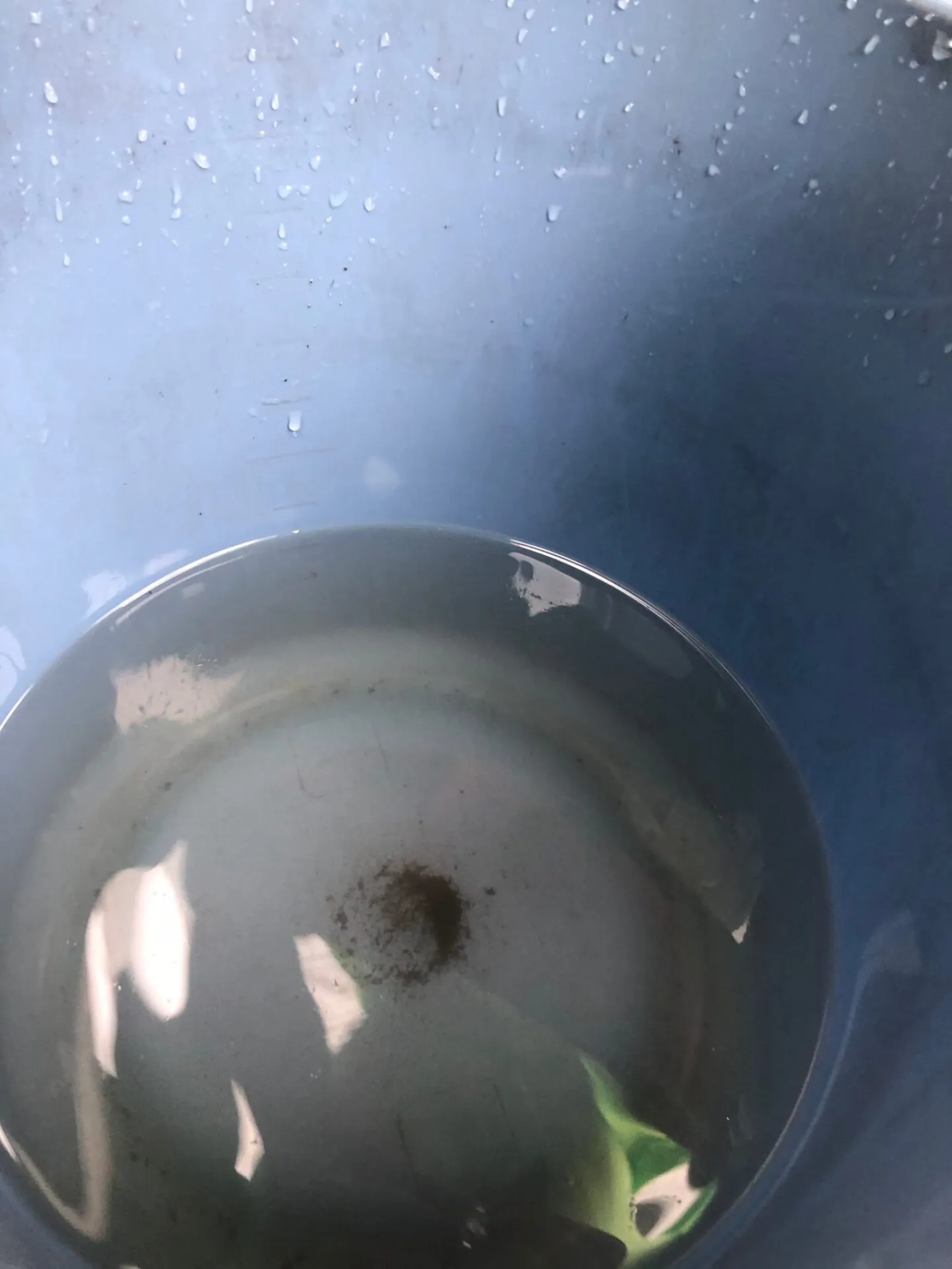 東京都トライアスロン渡良瀬大会 エイジ1位！ - 画像12