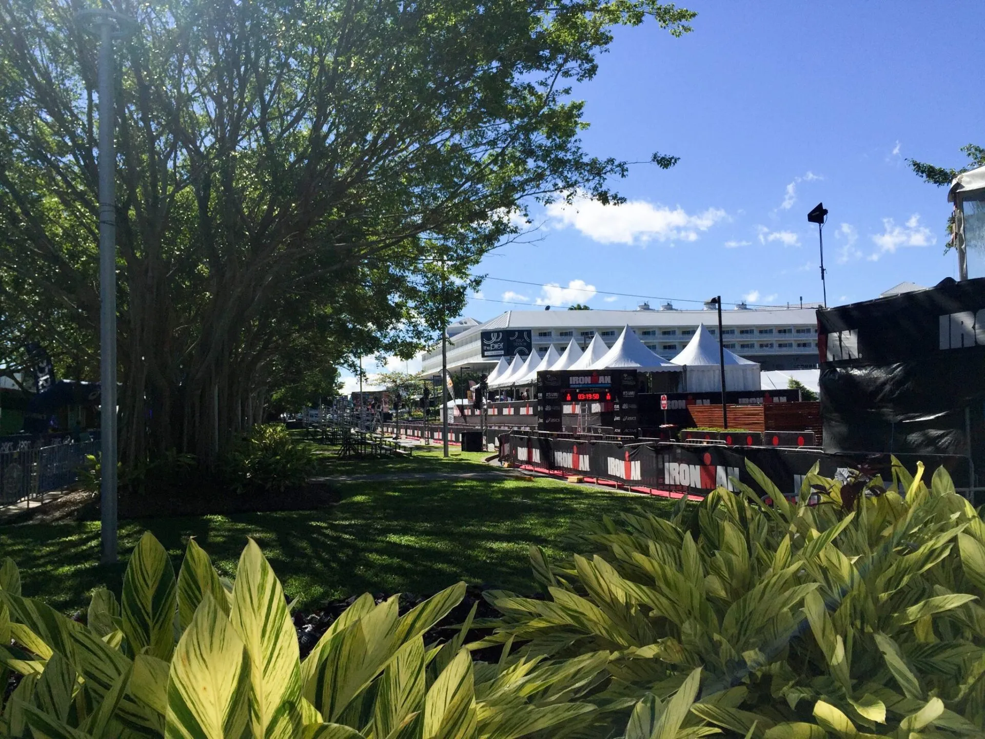 ケアンズ(Cairns)滞在記 1日目 - 画像53