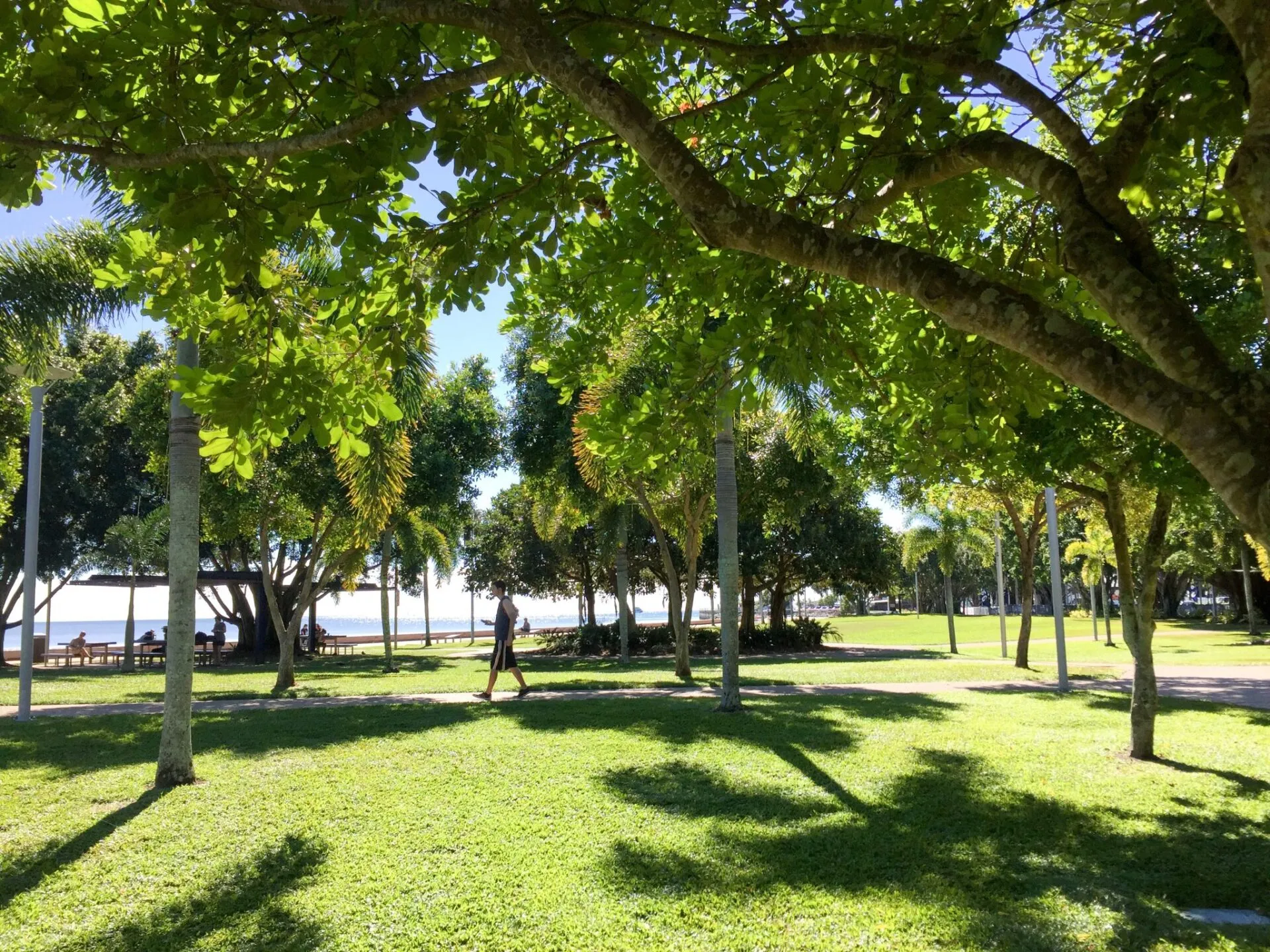 ケアンズ(Cairns)滞在記 1日目 - 画像54