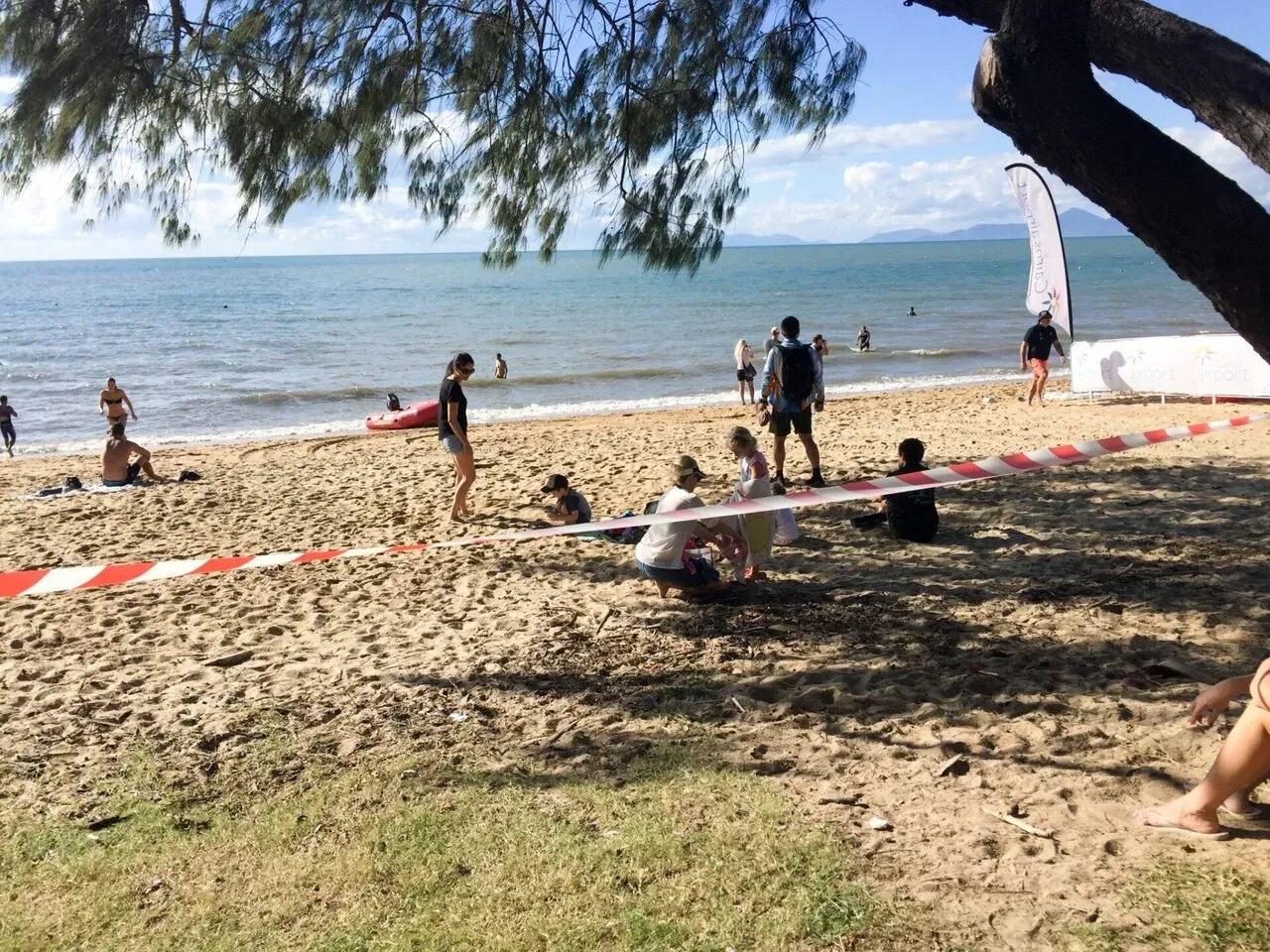 T1のPalm Cove。うねりがあります。
