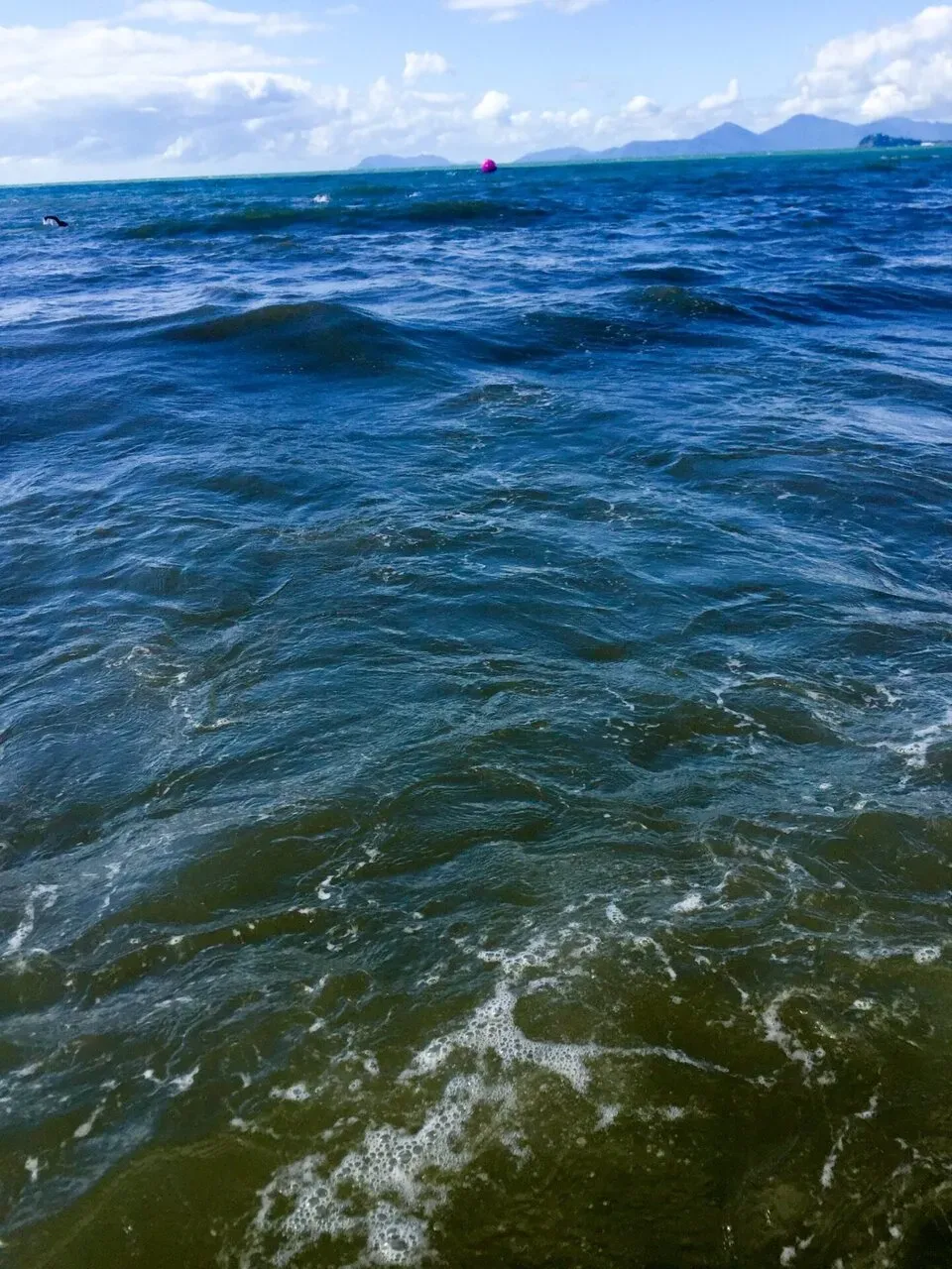 グレートバリアリーフなのに濁っている悲しさ