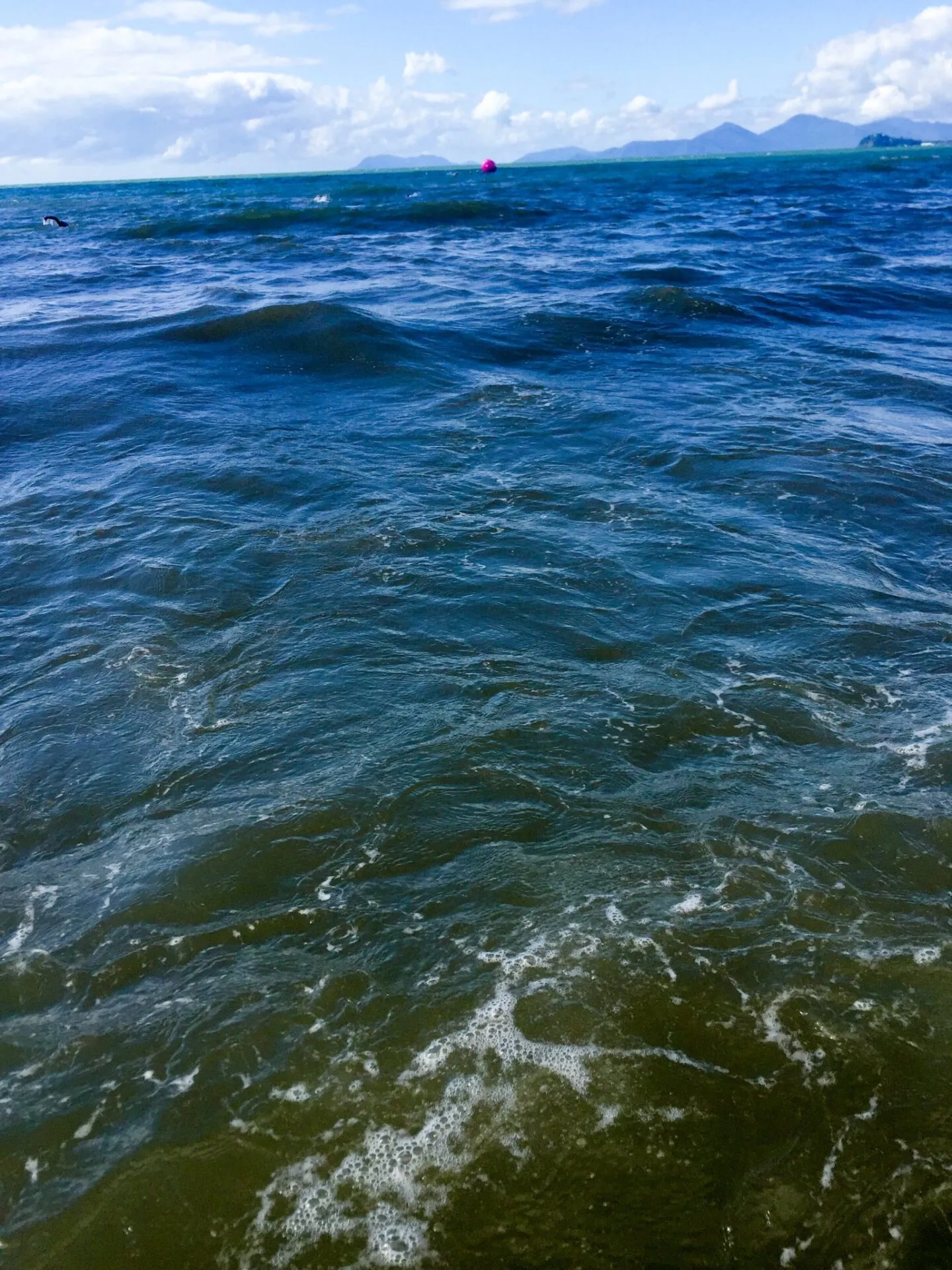 ケアンズ滞在記 2日目 - 画像14