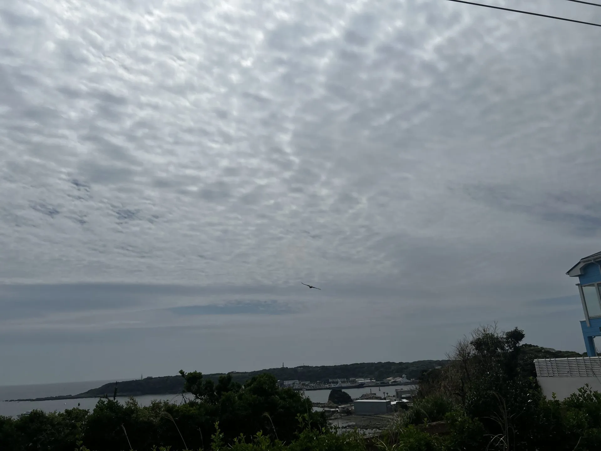 三崎港へマグロを食べに行くライド - 画像5