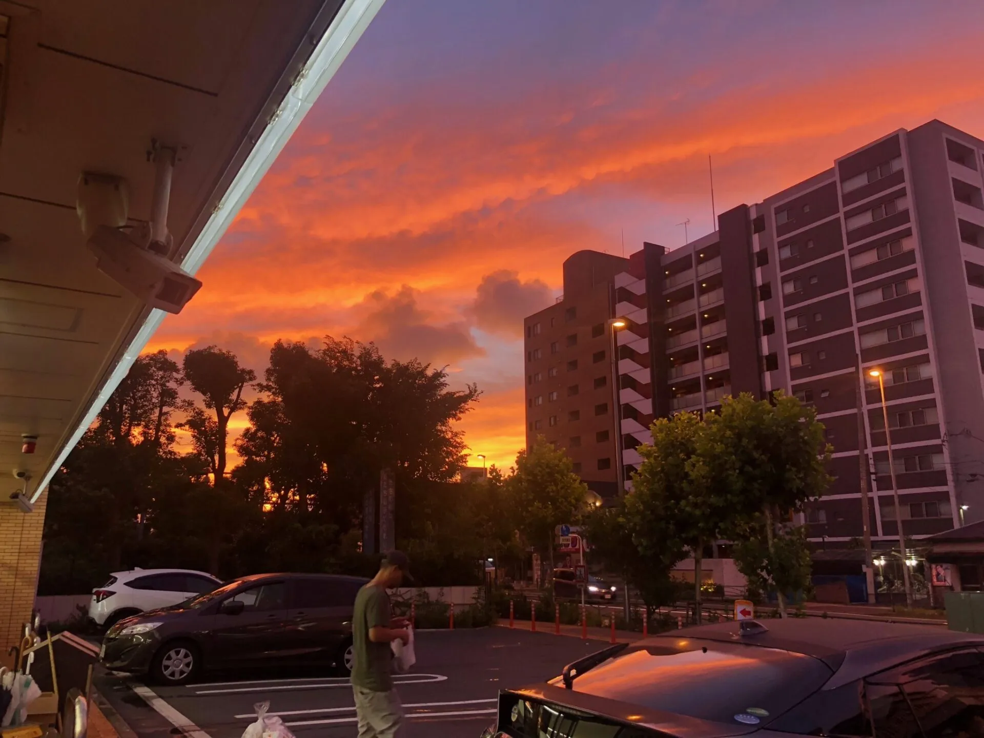 独り占め箱根駅伝2018 復路