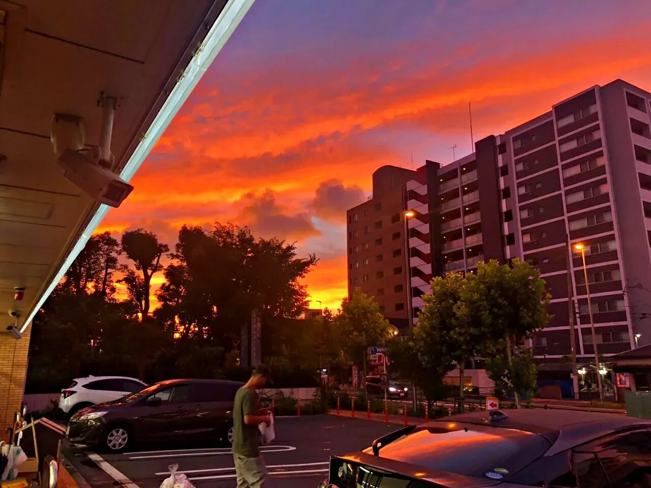 独り占め箱根駅伝2018 復路
