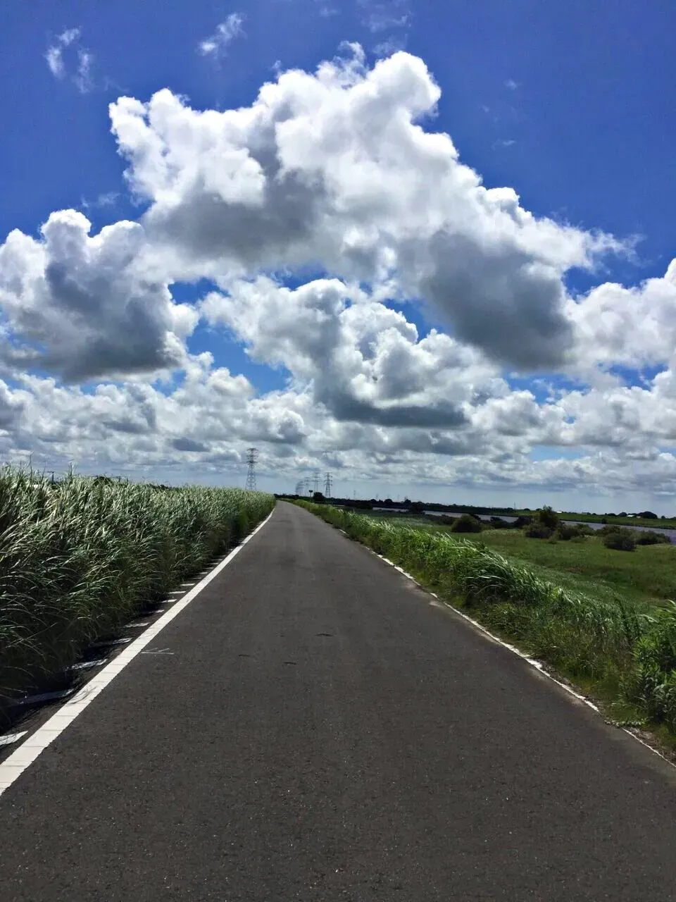 銚子へ往復200kmライド+5km run