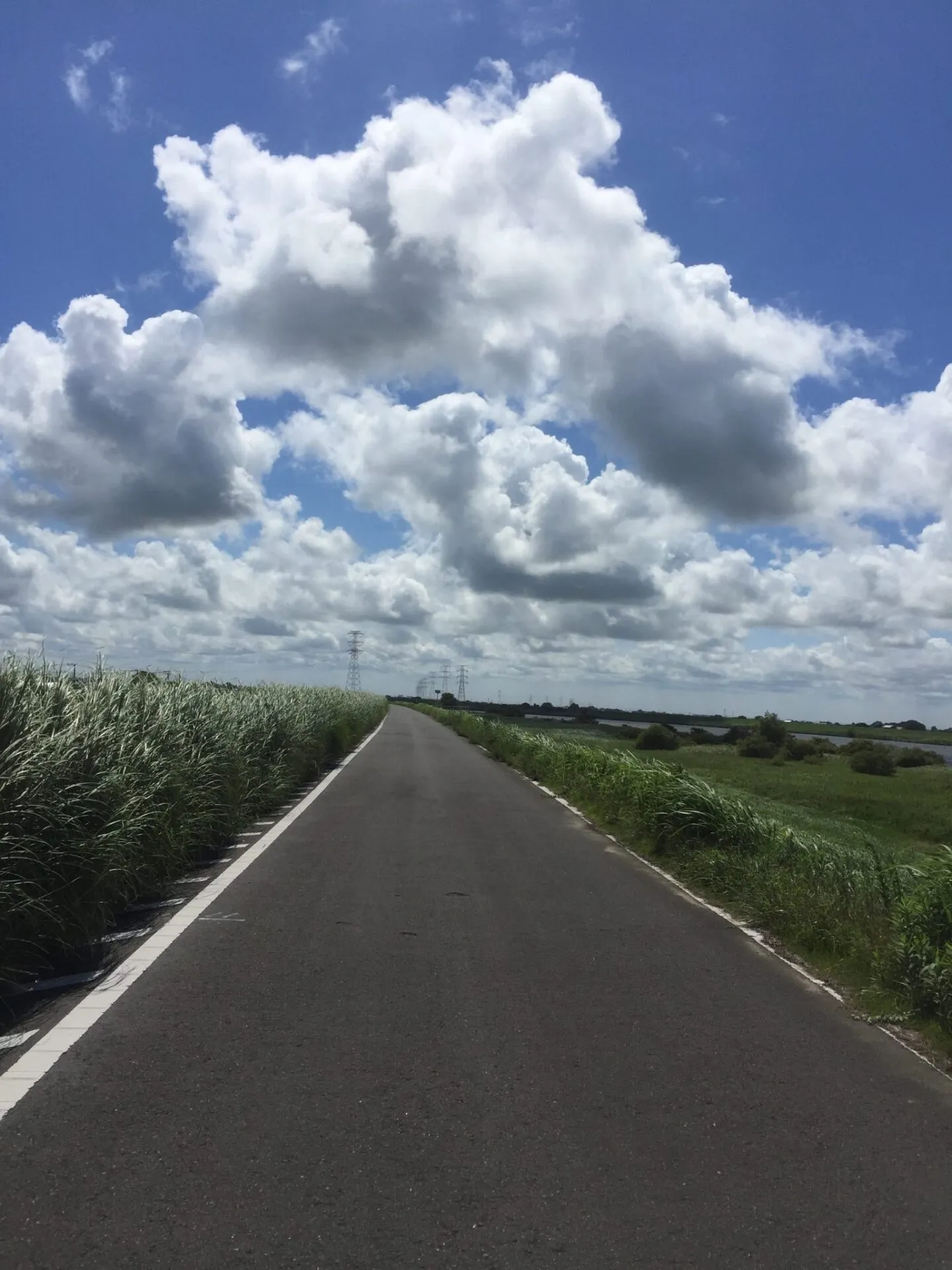 銚子へ往復200kmライド+5km run