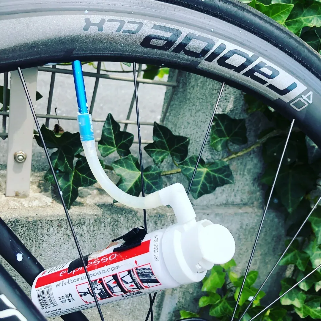 葉山 <-> 大磯ライドと10kmラン - 画像4