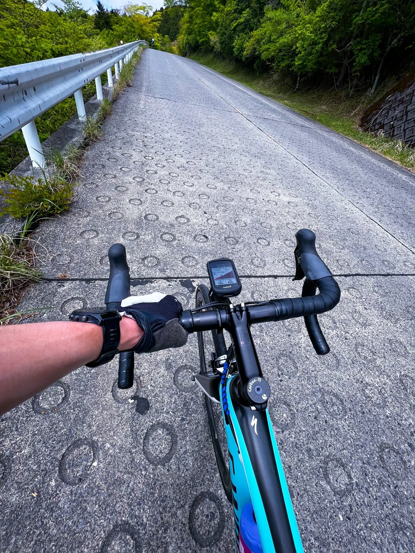 初めて三国峠をヒルクライム→足着いた。。。 - 画像16