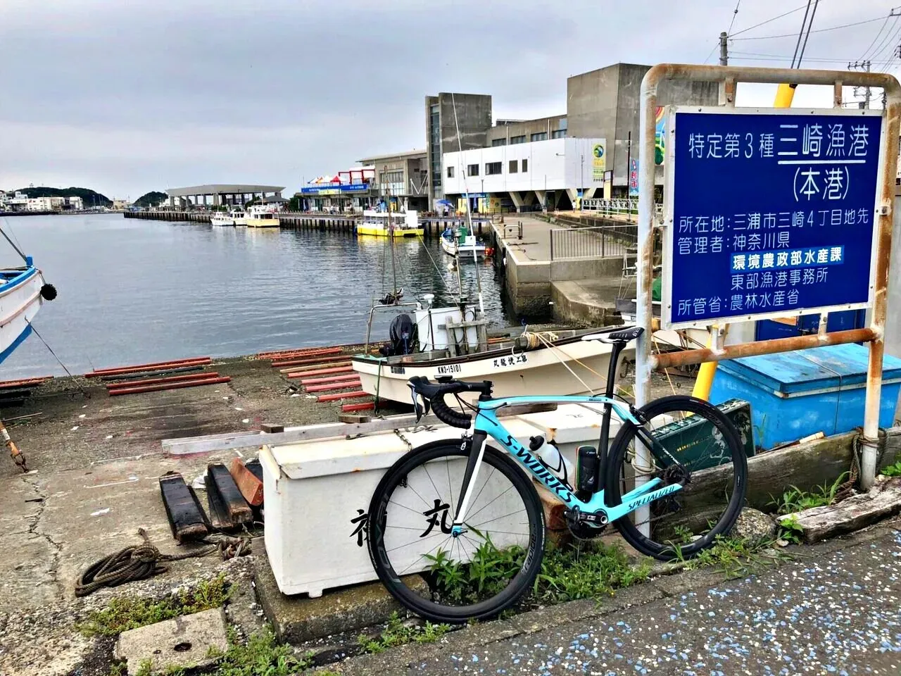 Cover Image of the Post