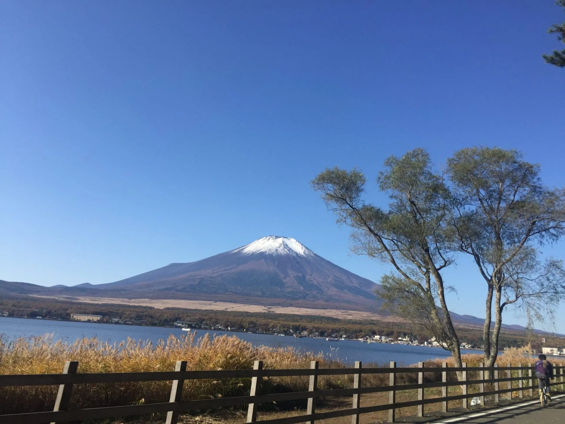 山中湖越しの冠雪富士山とサイクリスト