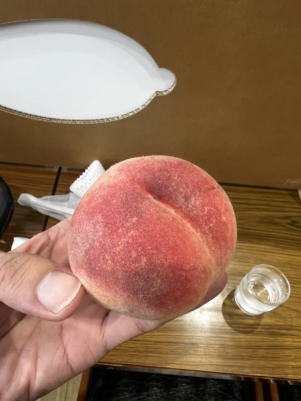 福島 ライド1日目(福島駅→磐梯吾妻スカイラインHC→猪苗代湖→会津若松) - 画像27