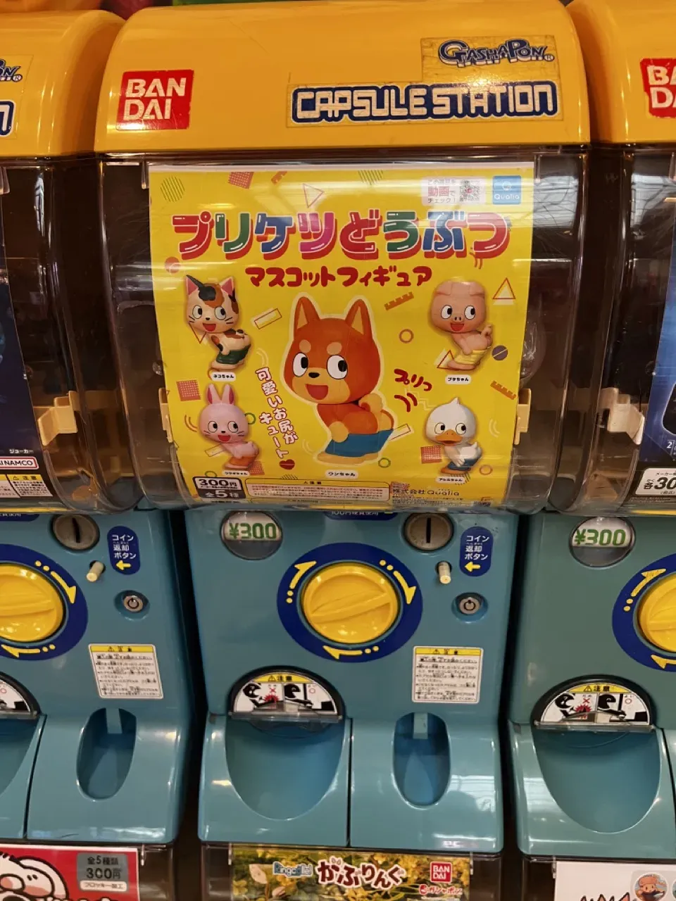 福島 ライド1日目(福島駅→磐梯吾妻スカイラインHC→猪苗代湖→会津若松) - 画像42