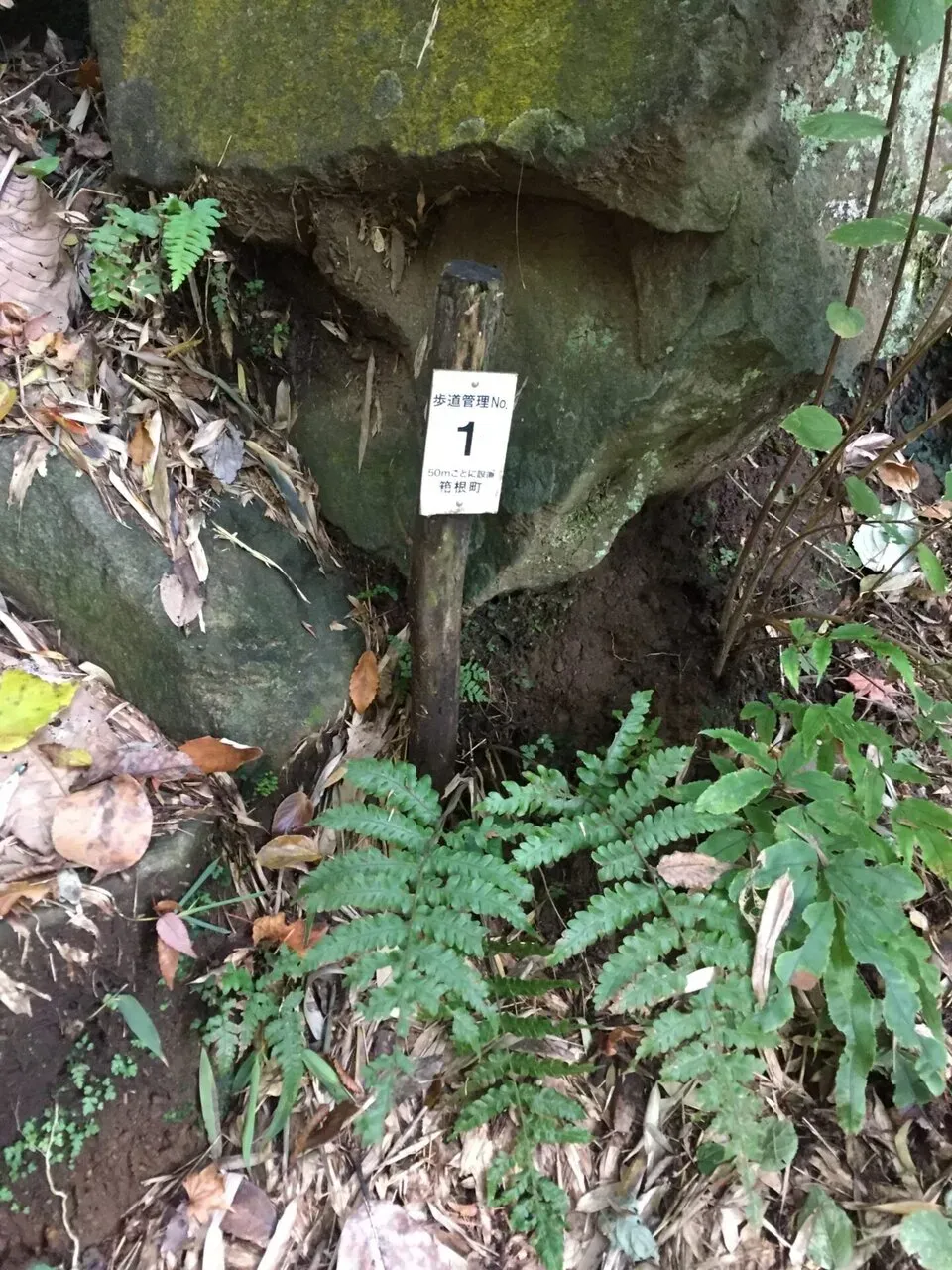 道標があるので楽しい