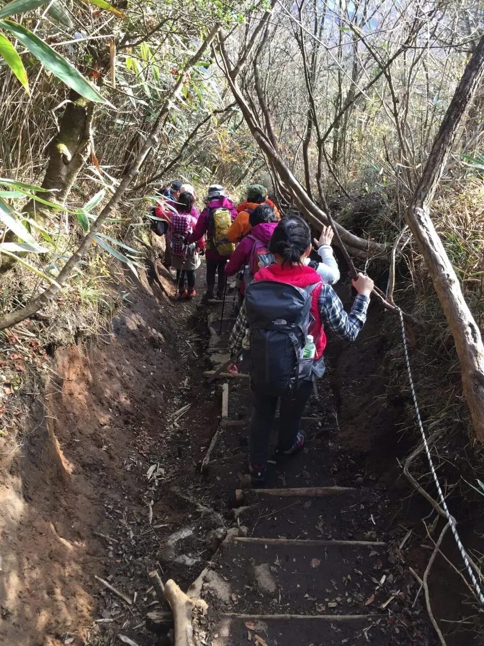金時神社　渋滞