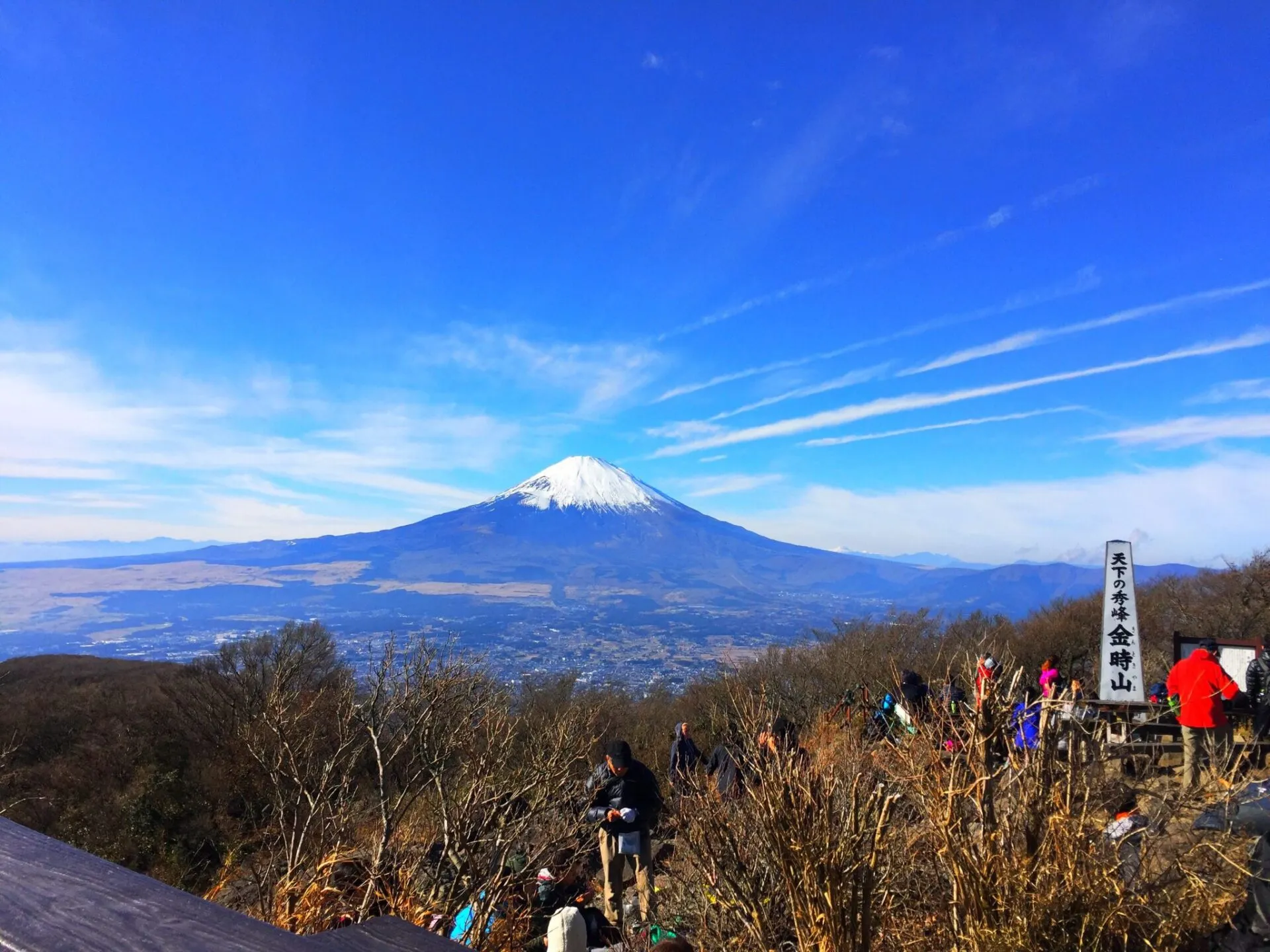 金時山から富士山