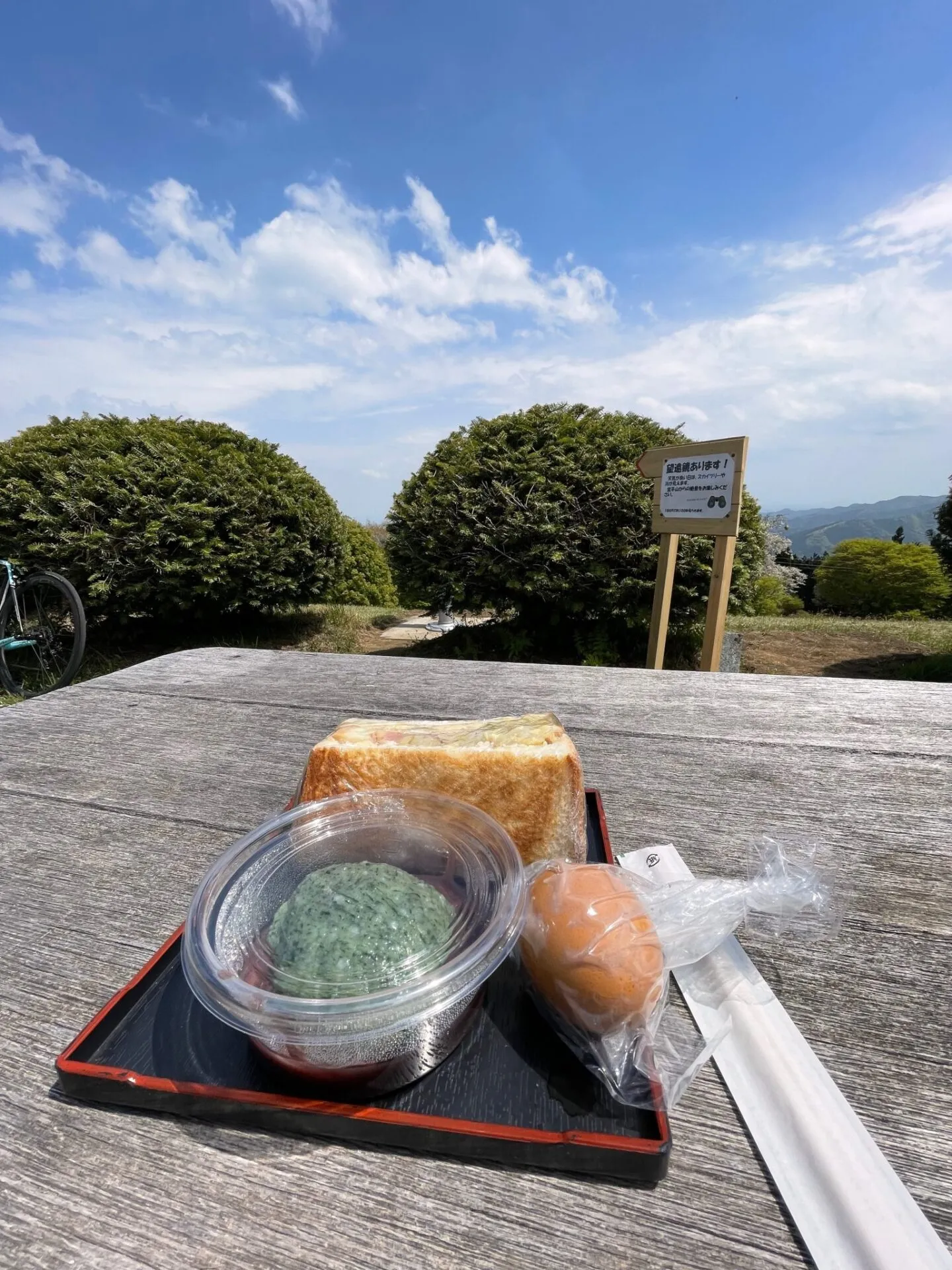 半年ぶりの屋外ライド。全然パワーが出なくなっていて泣ける - 画像10