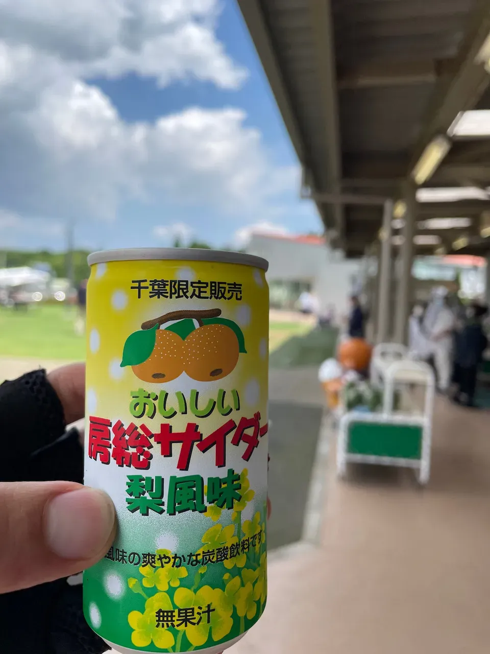 空の駅 風和里しばやまへ往復ライド 111km - 画像4