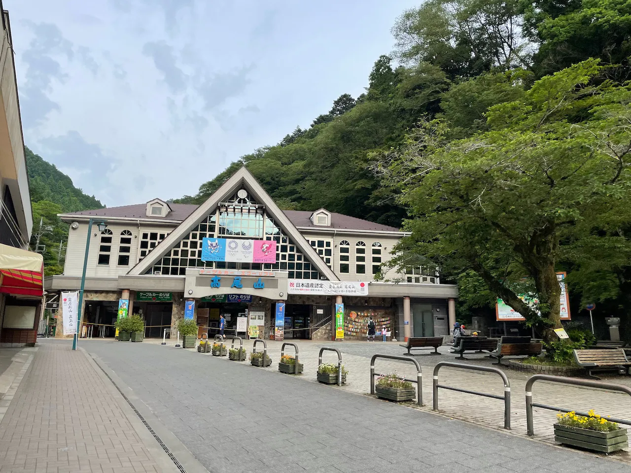 高尾山から陣馬山へトレランしたけど、笹？にかぶれて手足がかゆい！ - 画像1