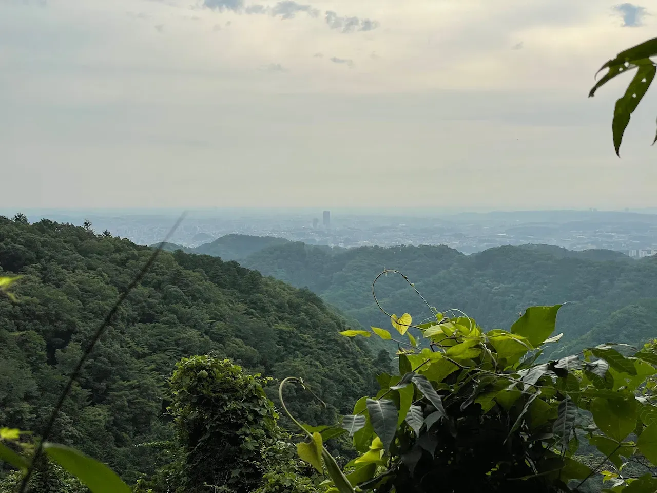 稲荷山ルート。東京方面の眺望。夏は景色は期待できないですな。早朝なのに、20人ぐらい抜きました。下山する人も10人ぐらいすれ違いました。一体、どういう行程なのか。不思議すぎる。