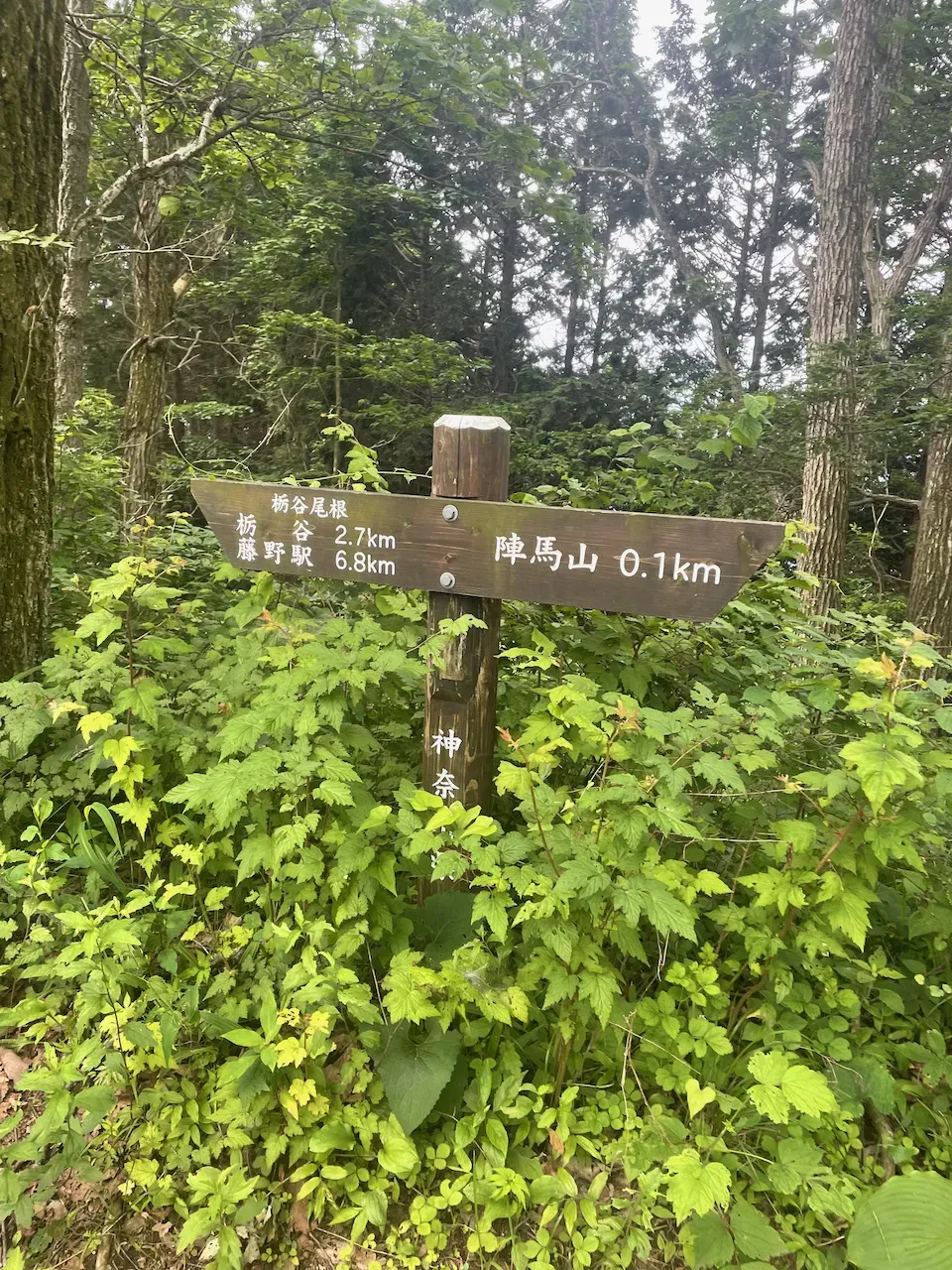 なんも見どころが無いので一気に陣馬山近くの写真。途中の笹が群生しているところにて、露出している手と足が猛烈に痒くなる。そして、掻きまくって赤くなりまくり。水が無くて、スポーツドリンクだけなので汗をかいて流す感じである程度解消。めちゃストレス！次の日も痒い！脂肪があるので補給は、BCAAのドリンクのみでした。