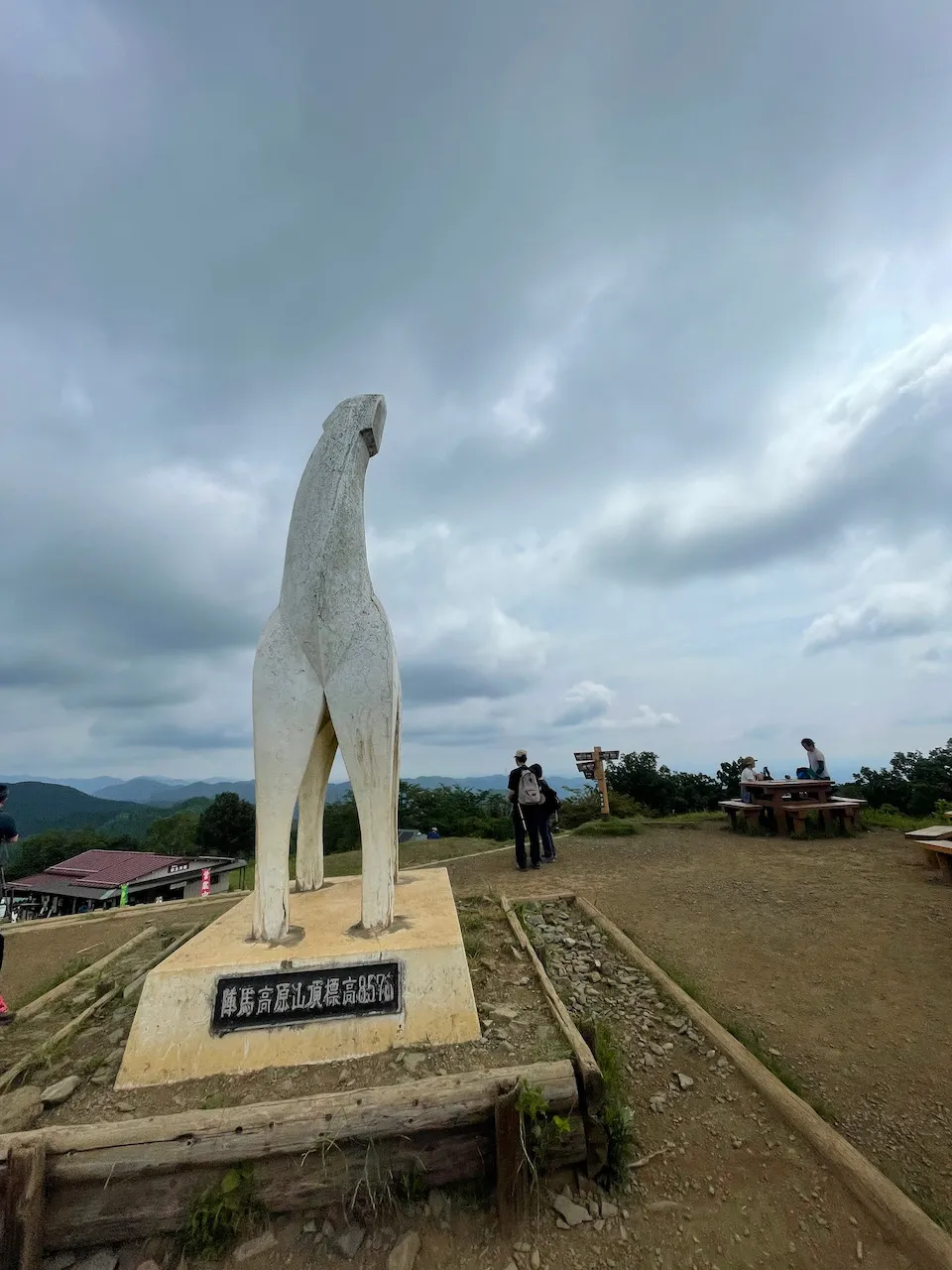 高尾山から陣馬山へトレランしたけど、笹？にかぶれて手足がかゆい！ - 画像9