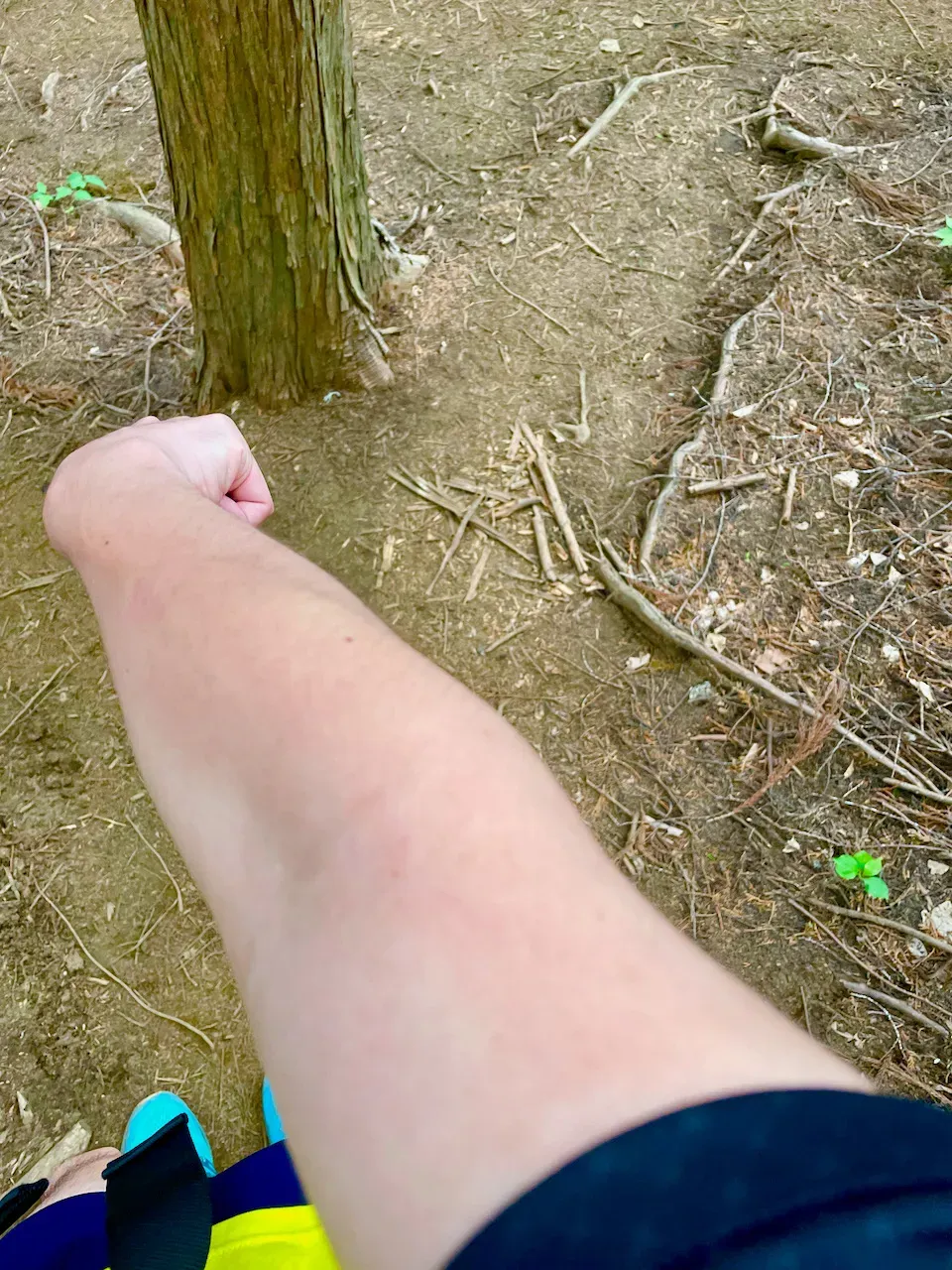 分かりづらいけど赤いのです。