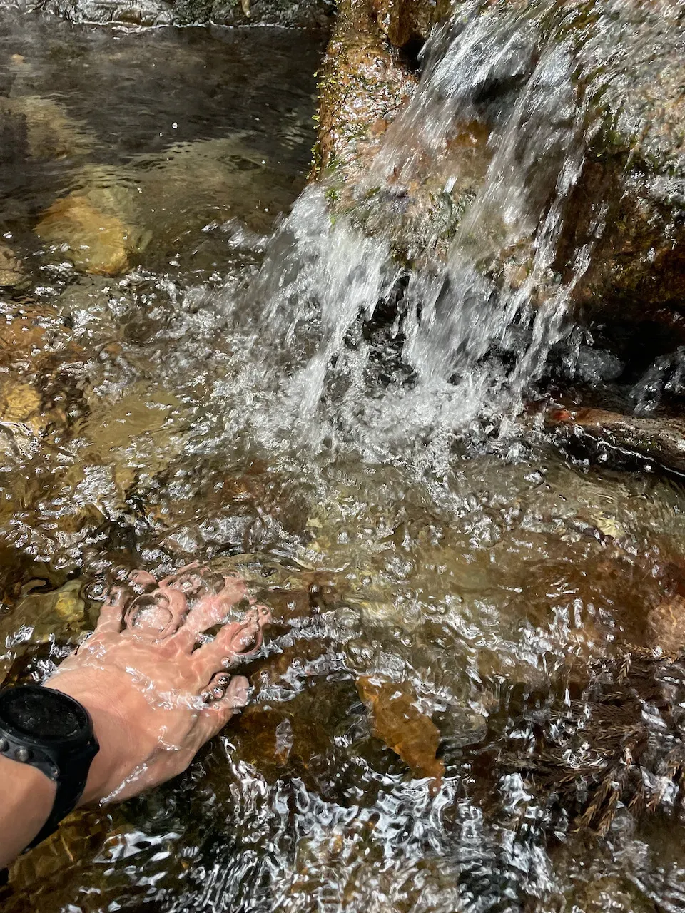 水場！最高！体を洗いまくります。冷たすぎる！下山中はたくさんの人とすれ違いました。シニアから子供まで。すごいなー。高尾山まで行くのかなー？